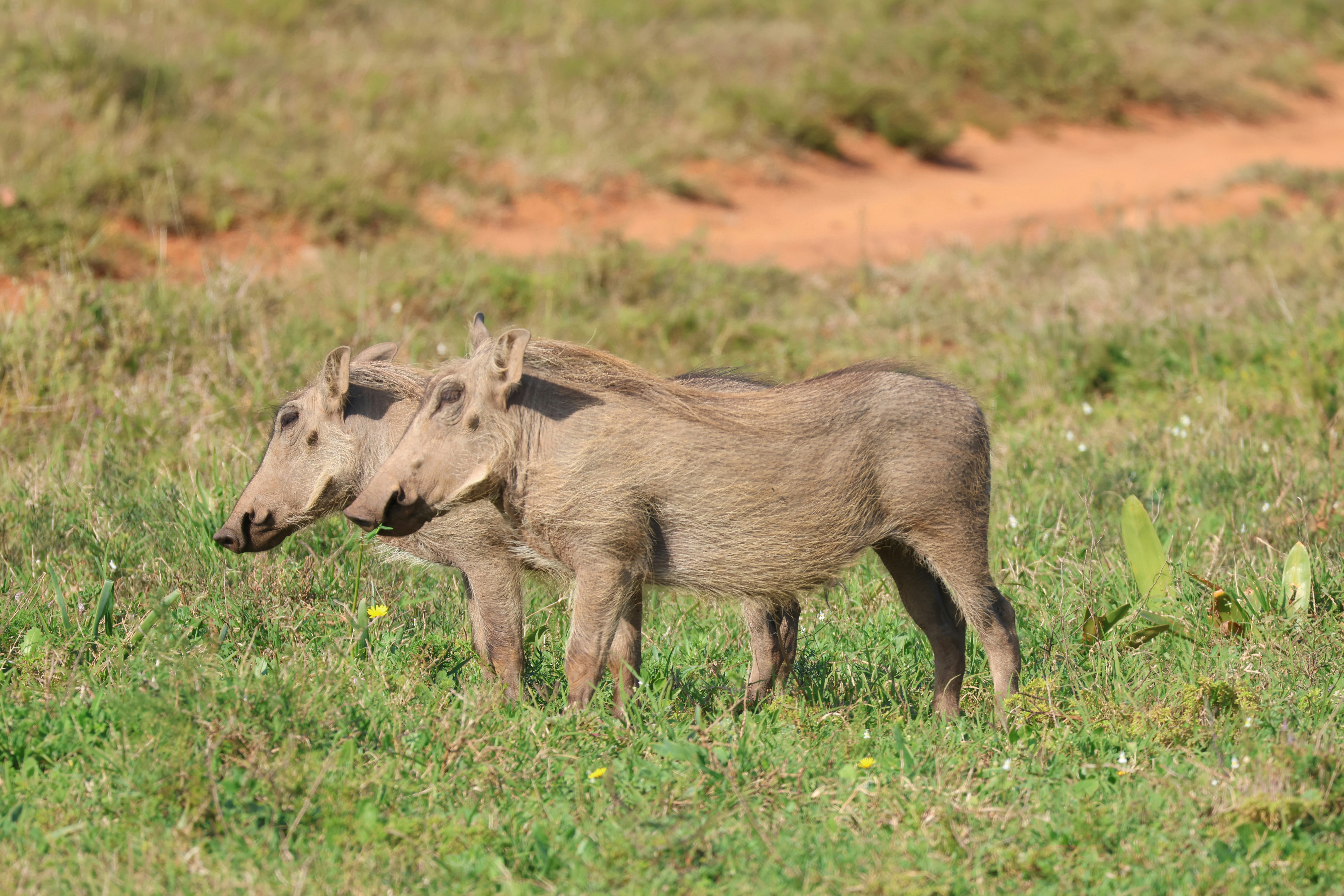 Photo by aryatulsyan
