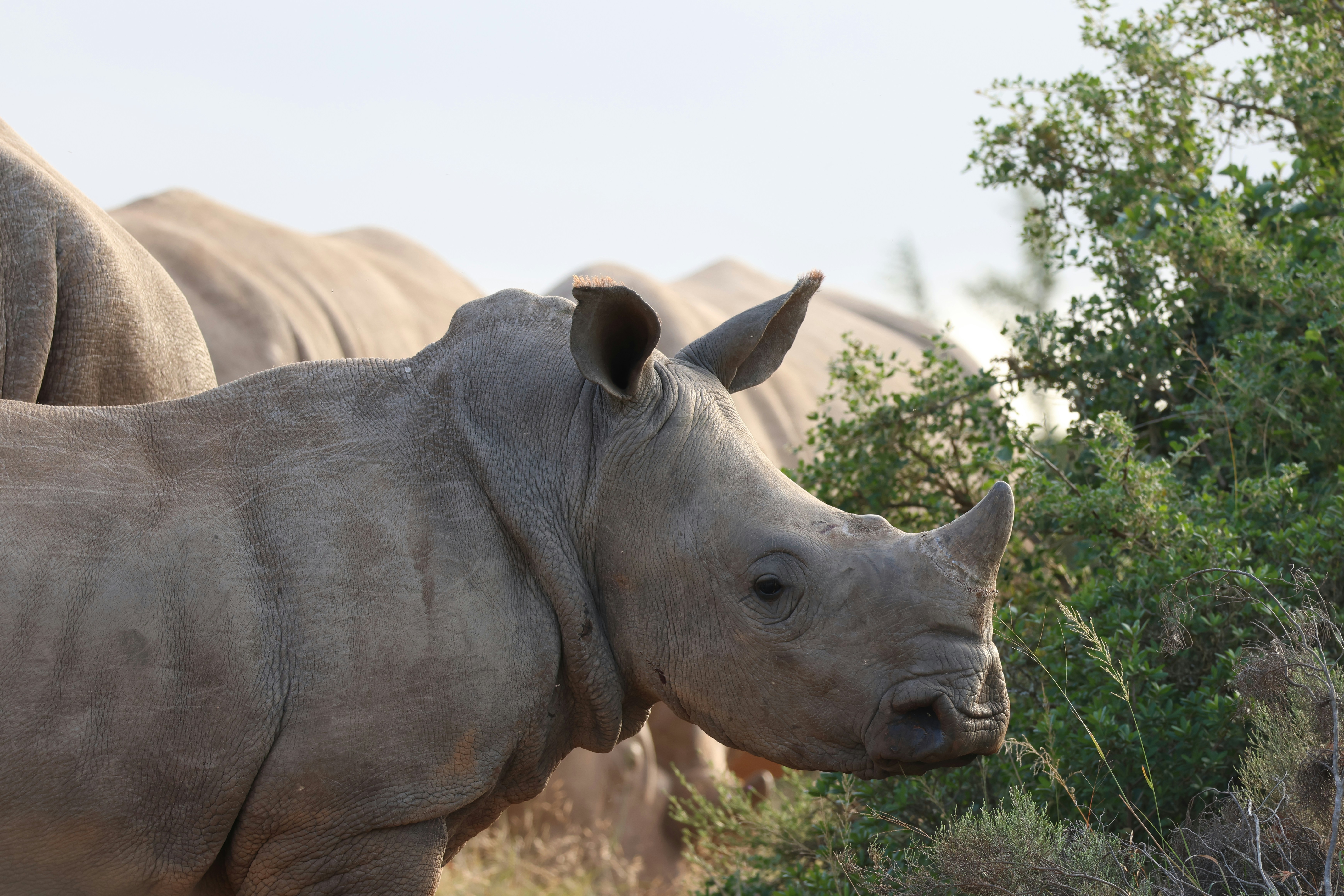 Photo by aryatulsyan