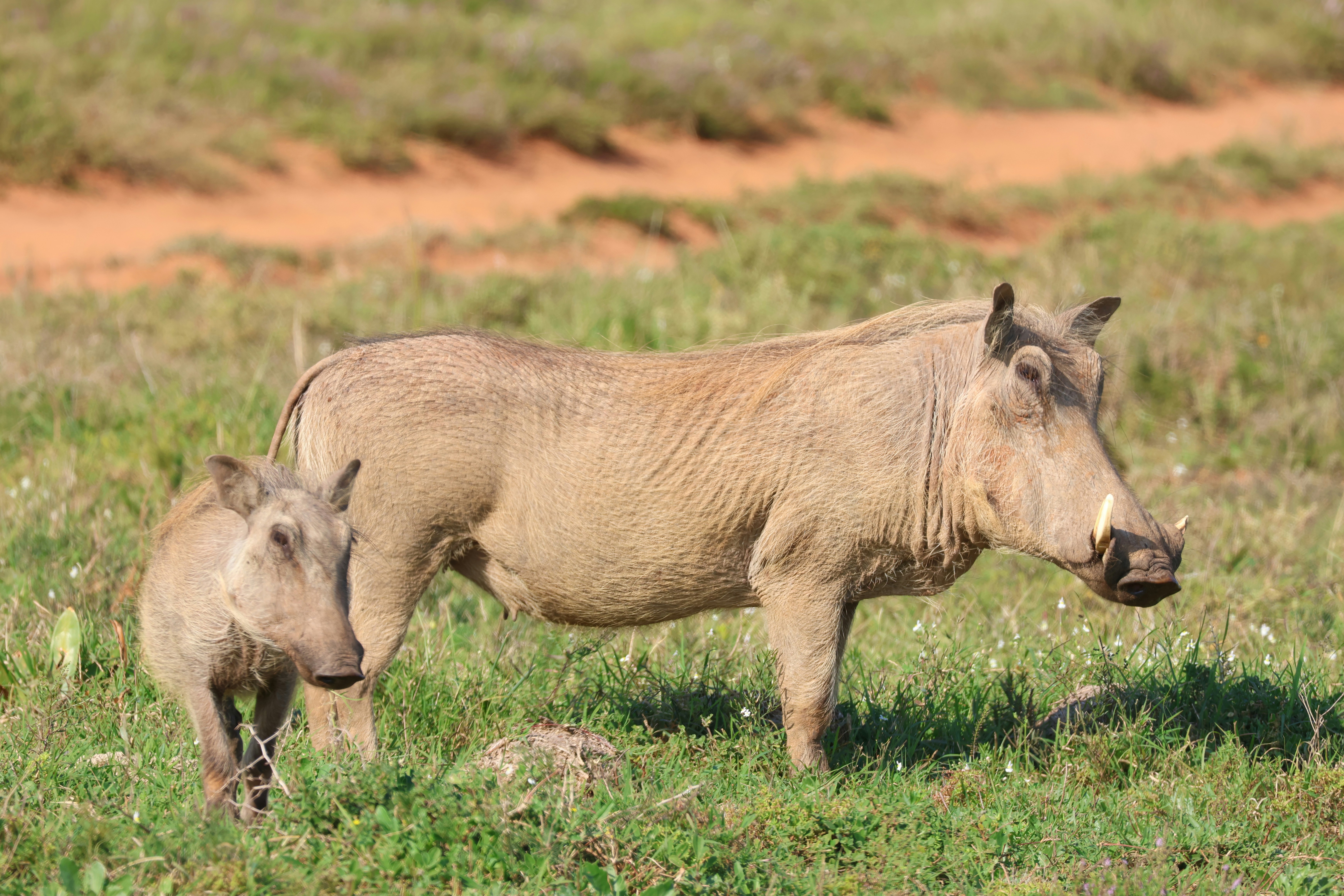 Photo by aryatulsyan