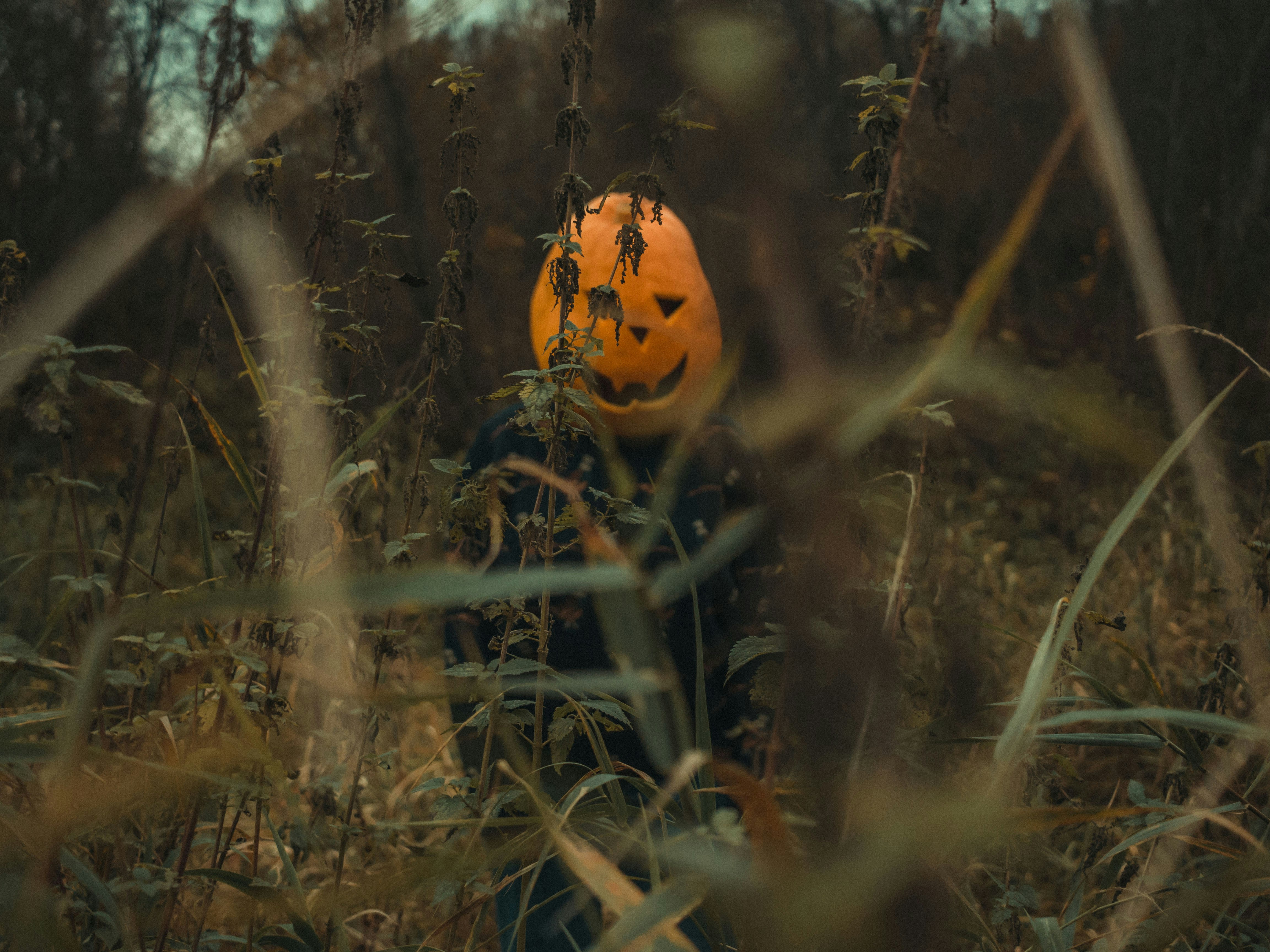 Photo by annie_smurova