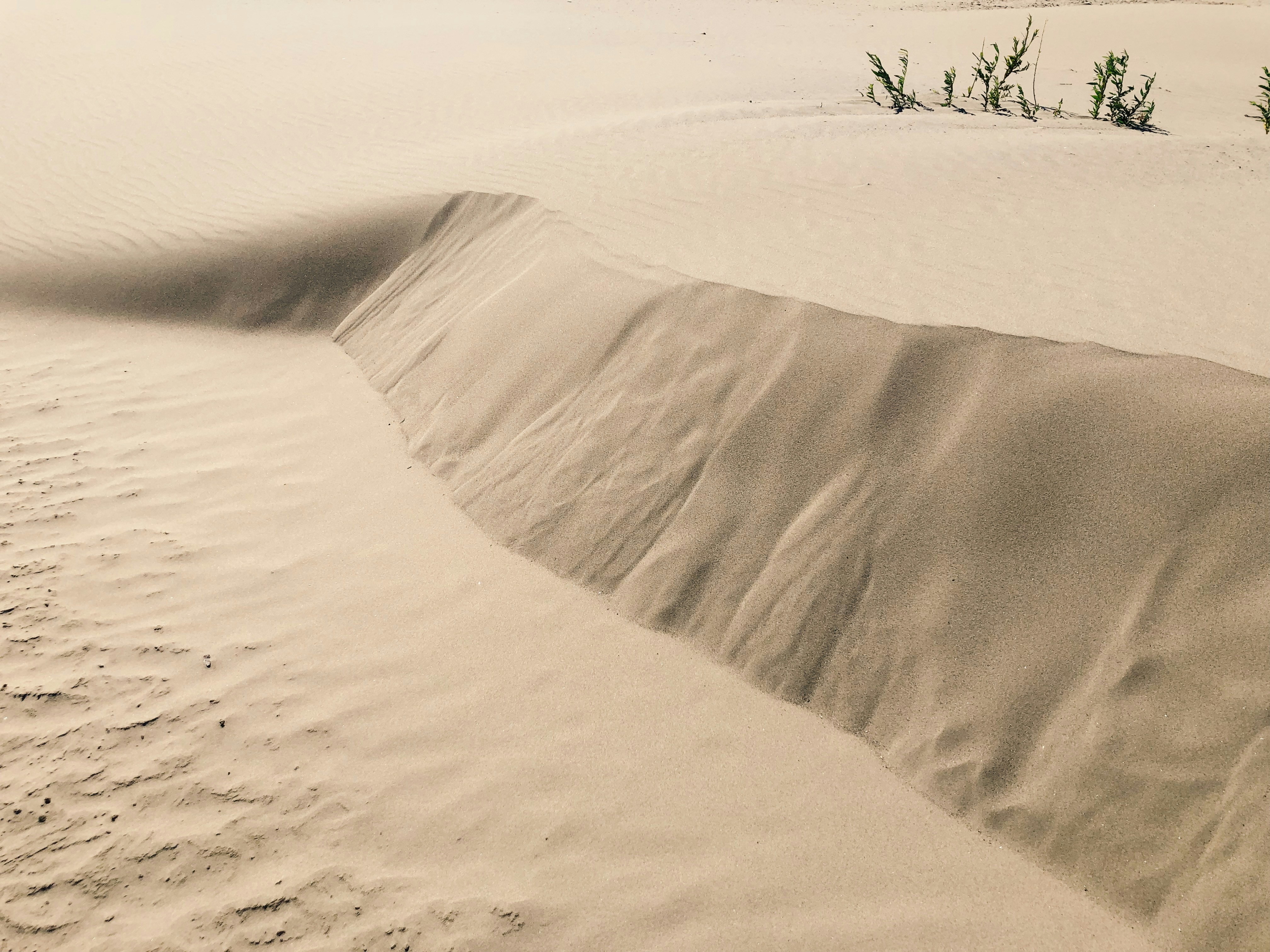 Photo by miroslavkondritskii