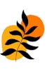 A black and orange leaf on a white background