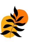 A black and orange leaf on a white background