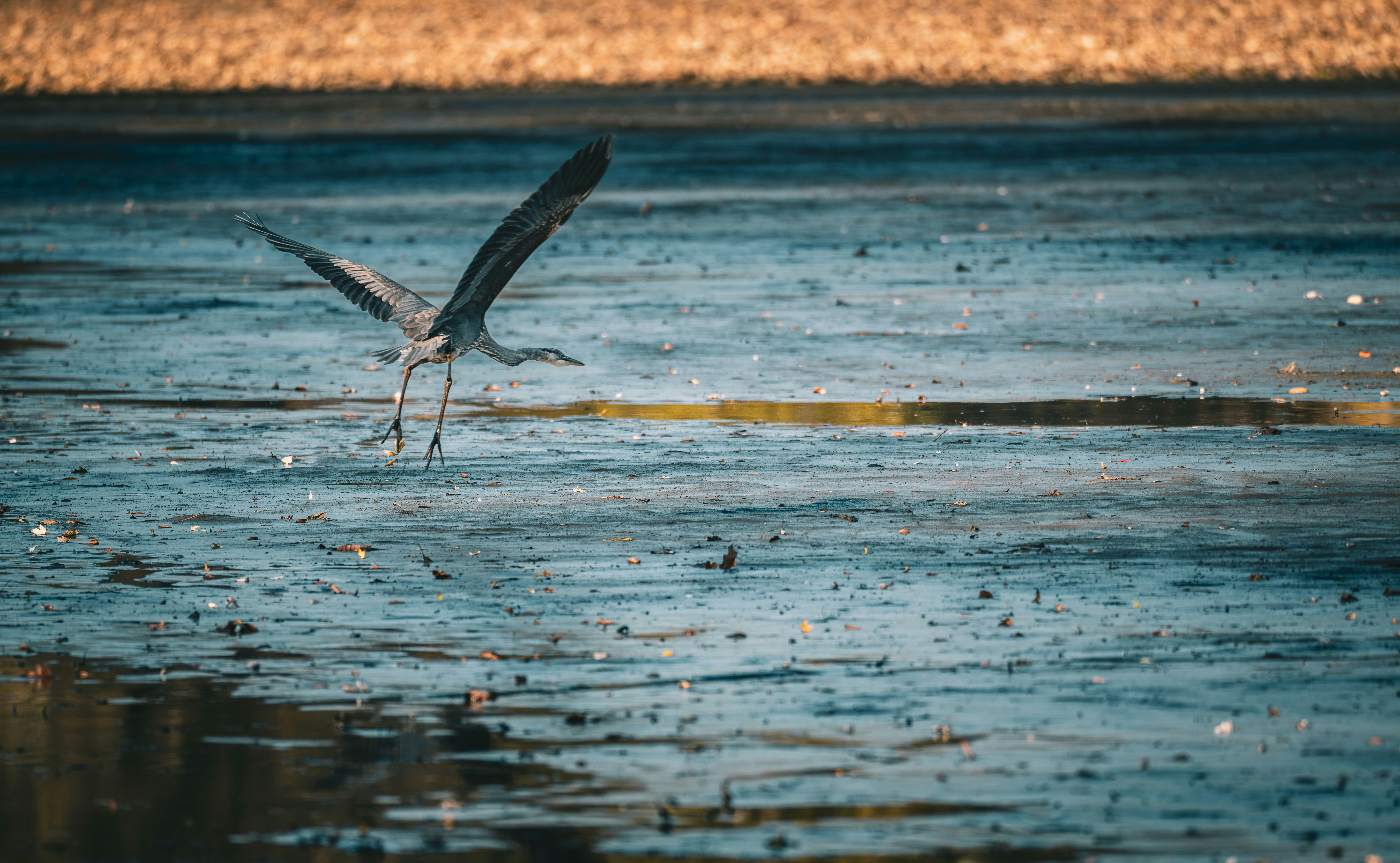 Photo by ryangrewell