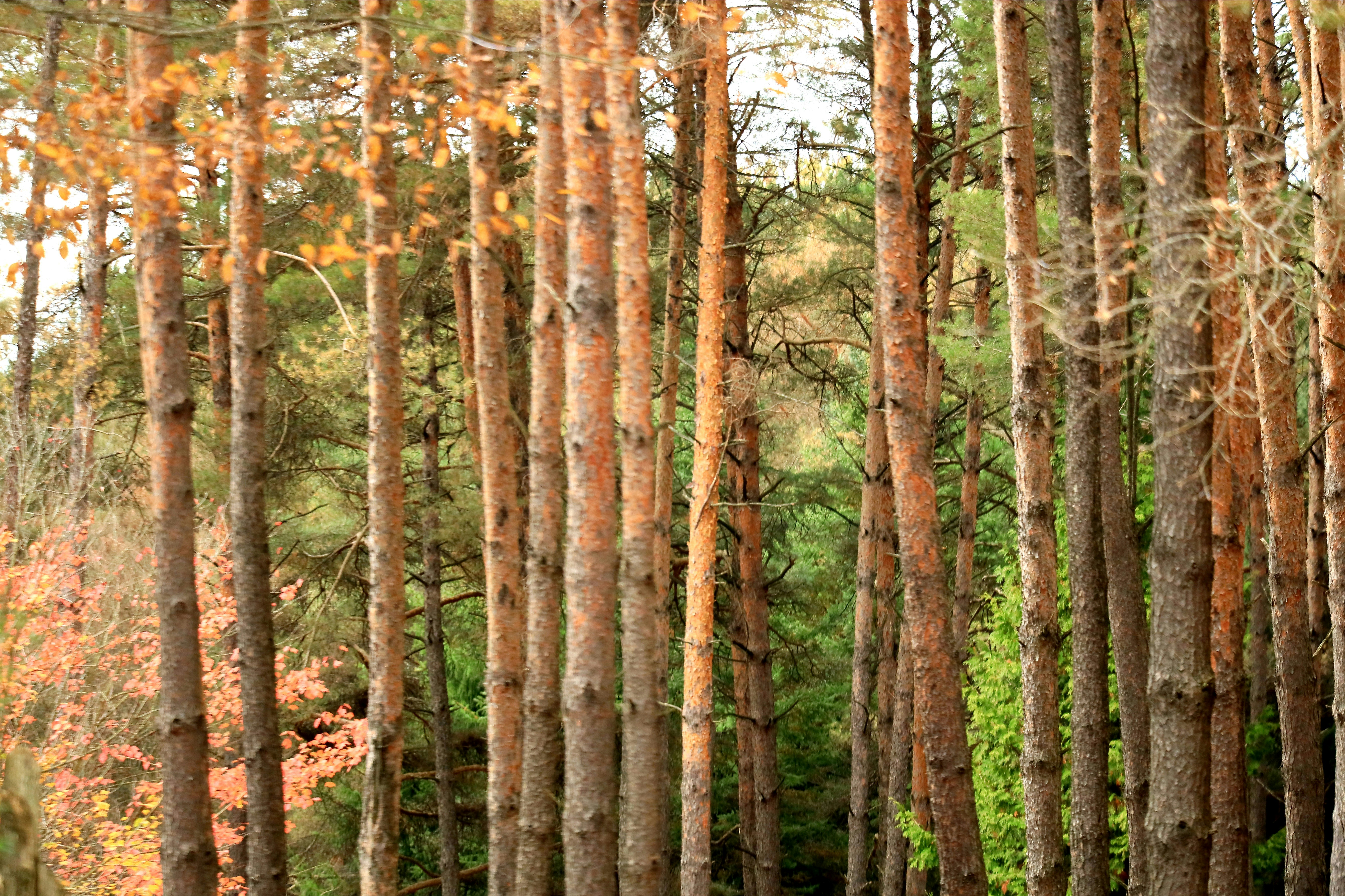 Photo by richardworks