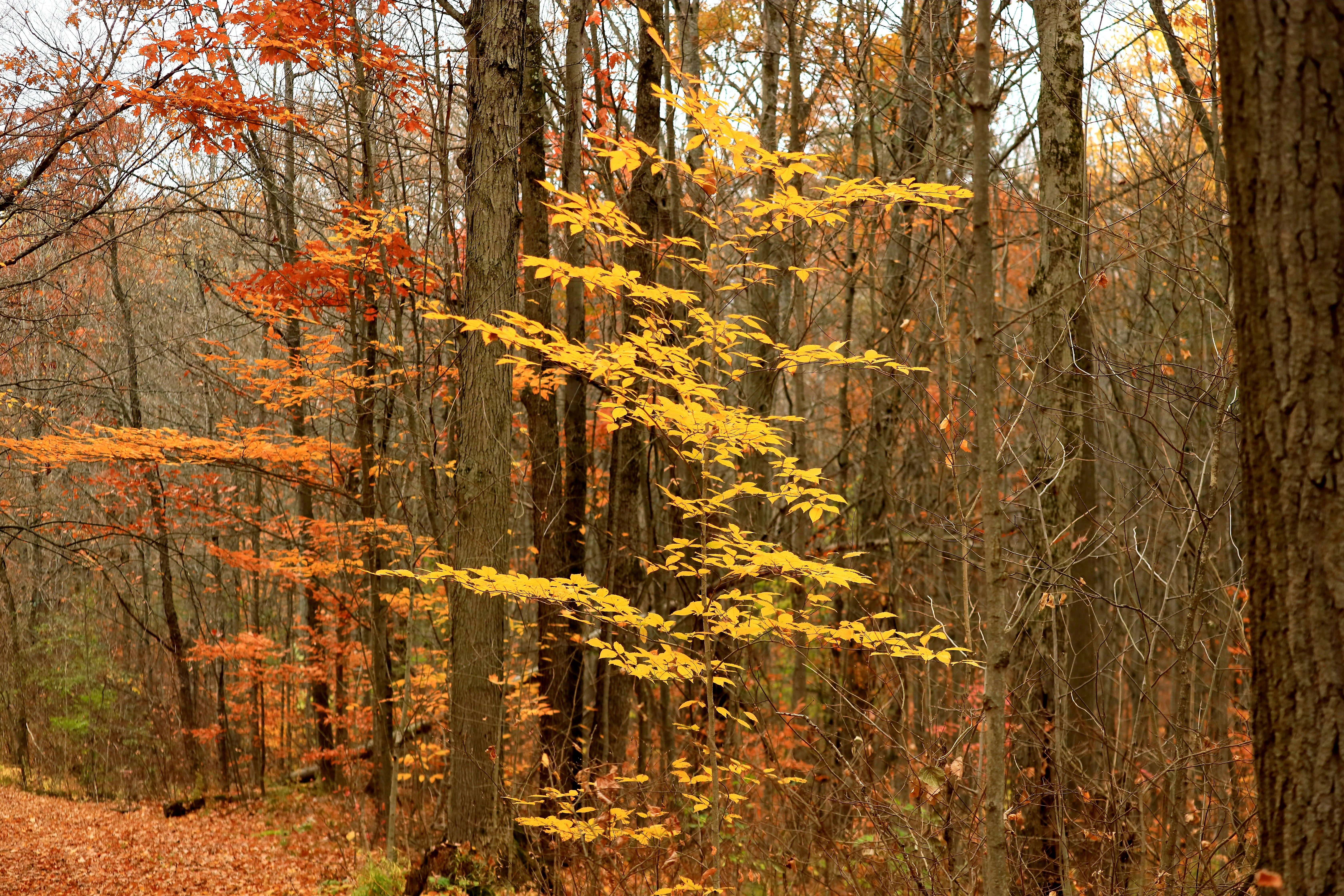 Photo by richardworks