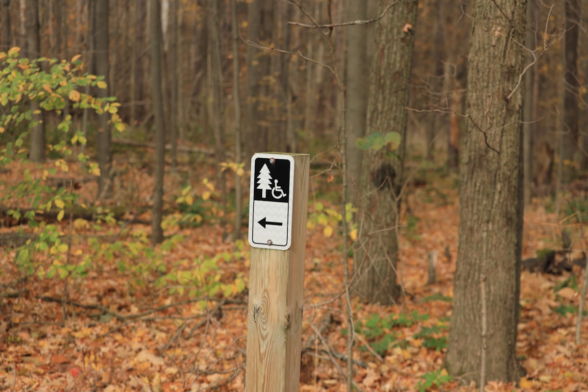 A trail sign in the woods reminding hikers to follow Leave No Trace principles