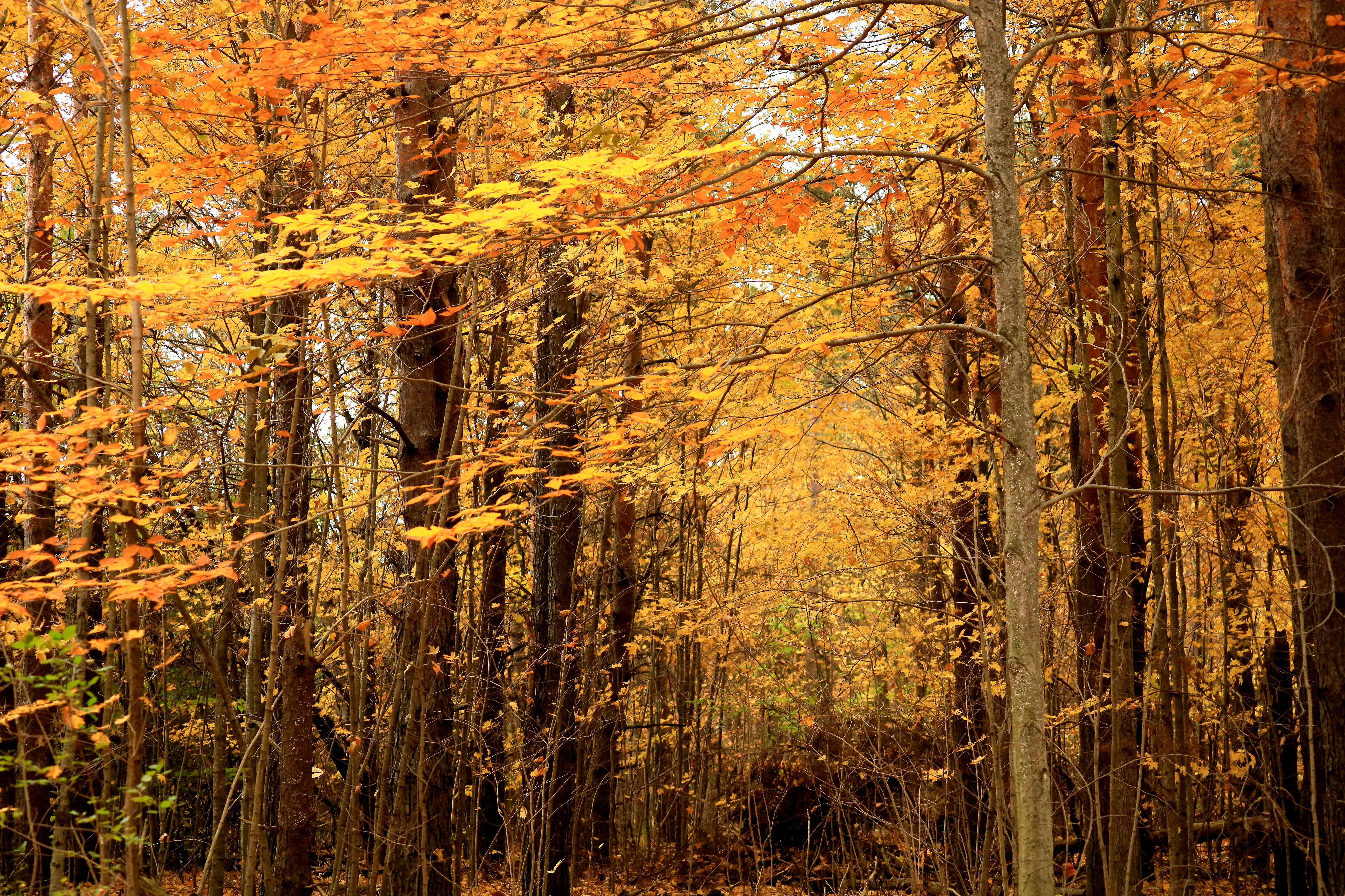 Photo by richardworks