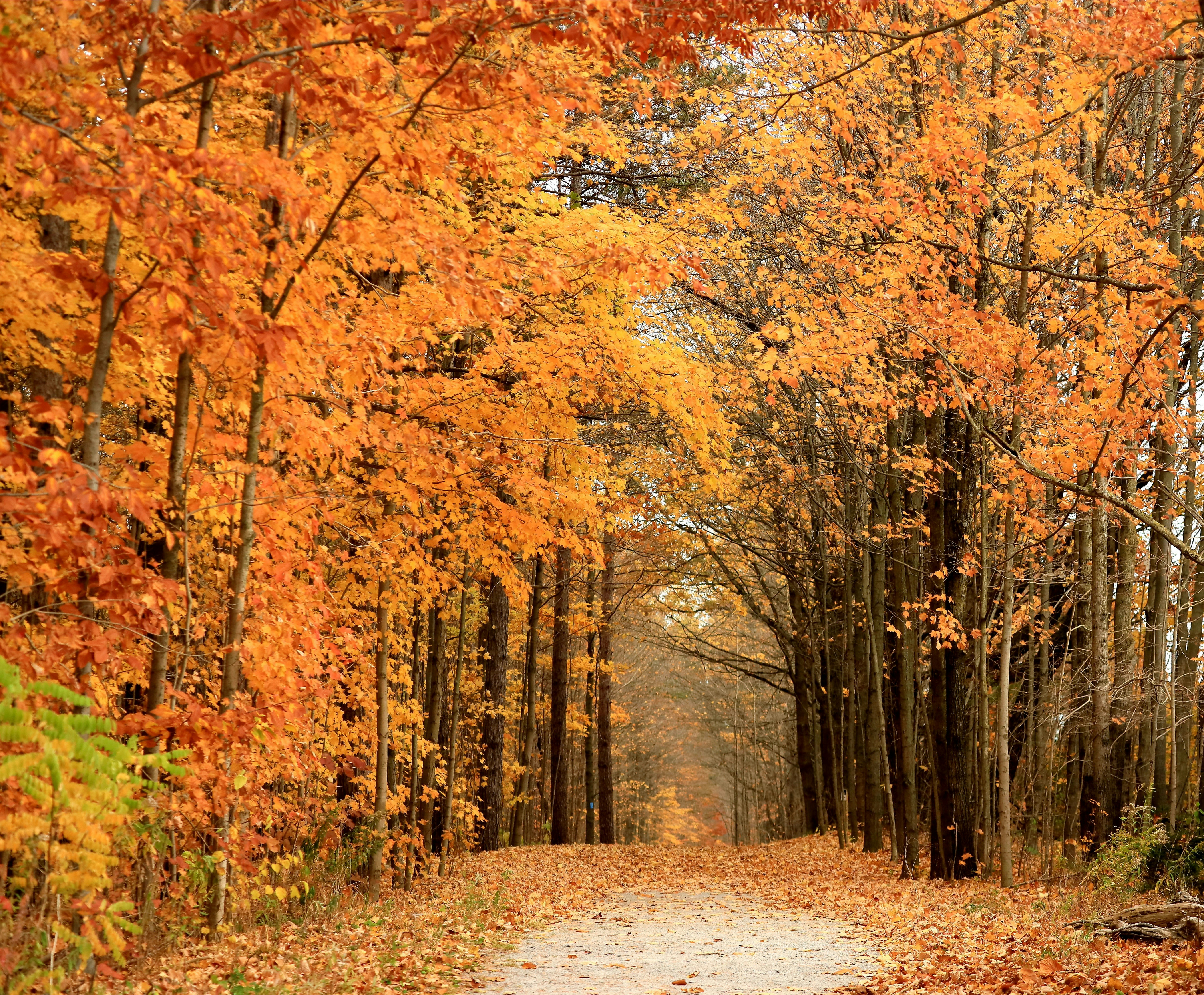 Photo by richardworks