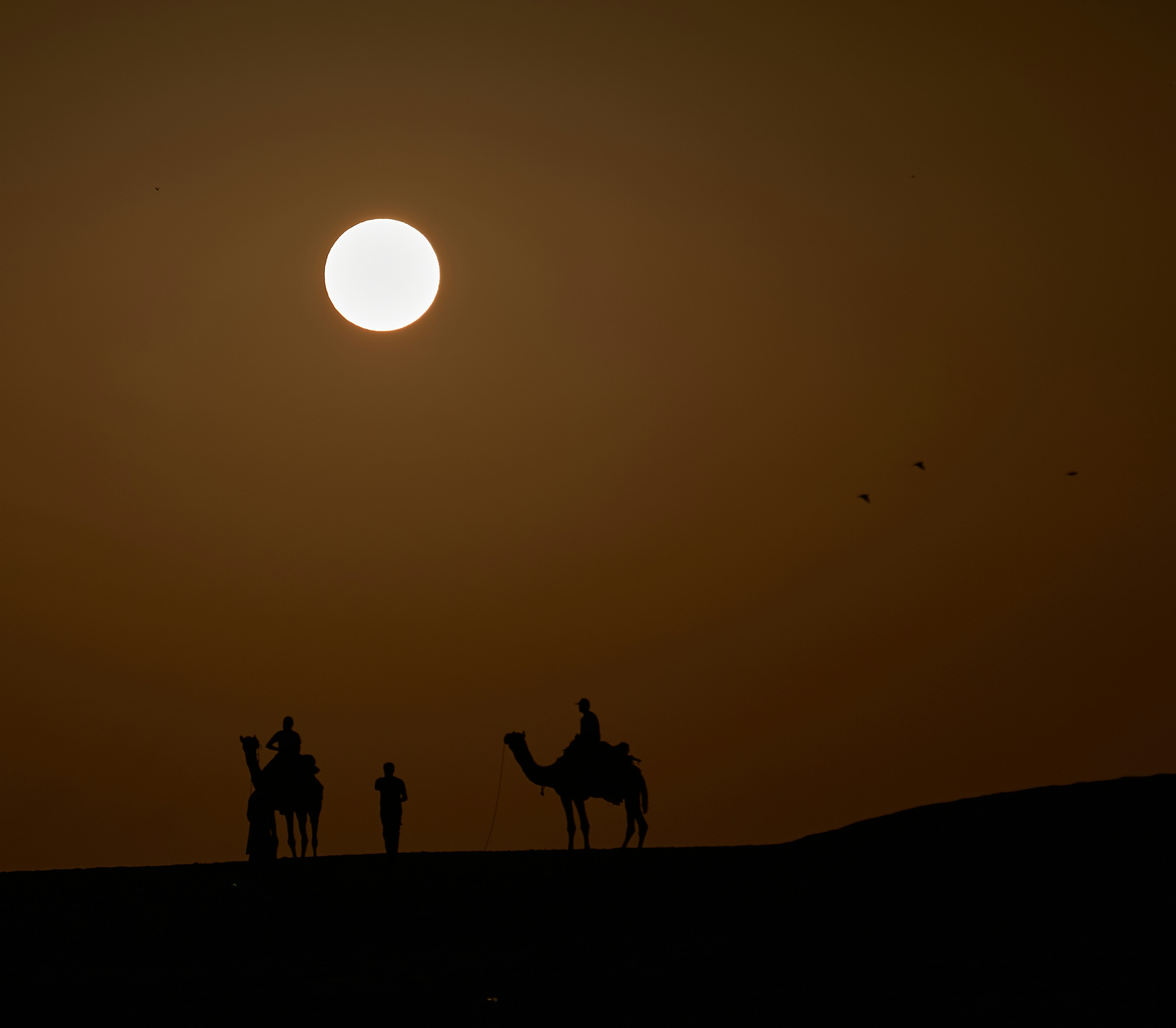 Photograph by Ashwini Chaudhary