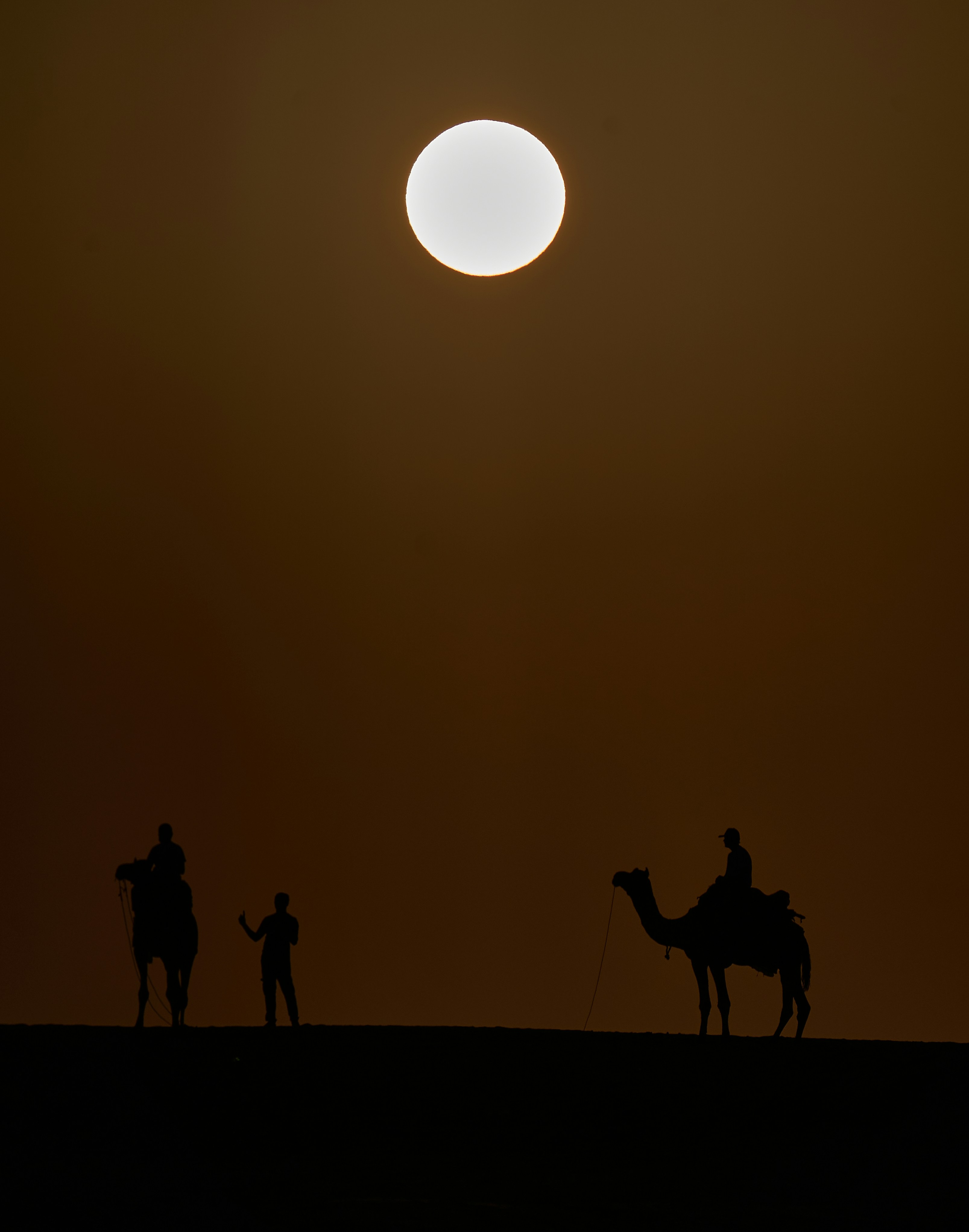 A group of people riding on the backs of camels