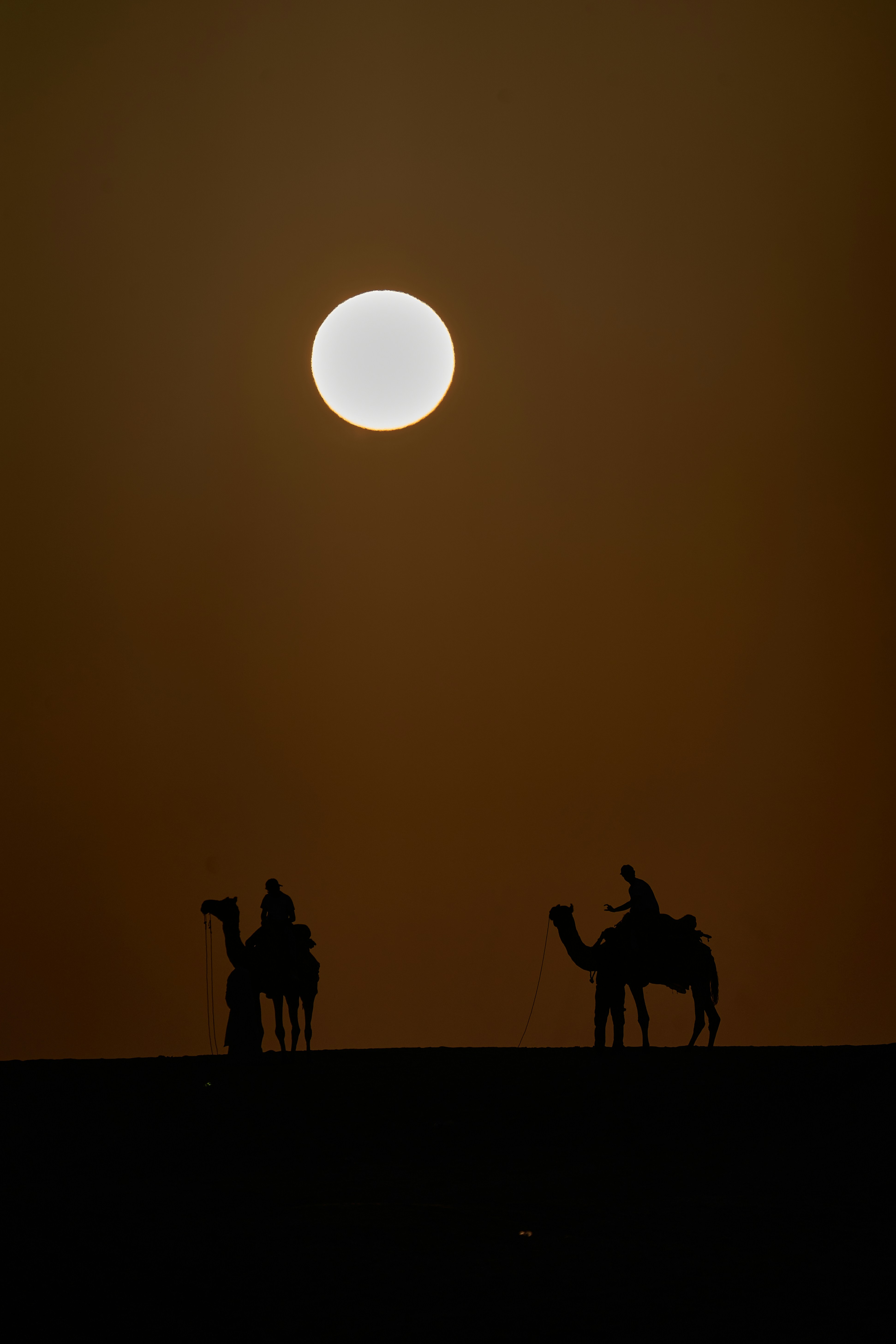 A group of people riding on the backs of camels