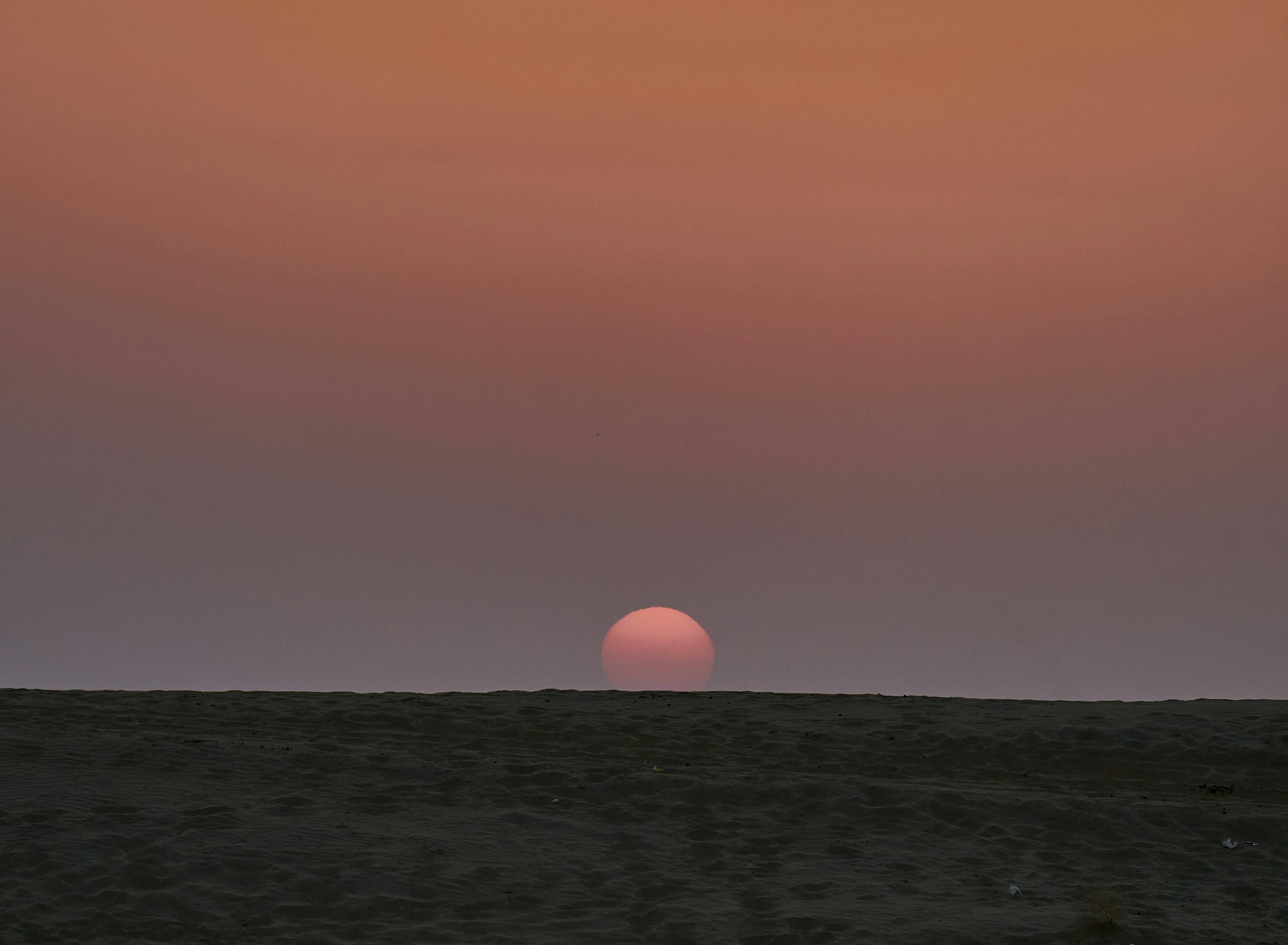 Photograph by Ashwini Chaudhary