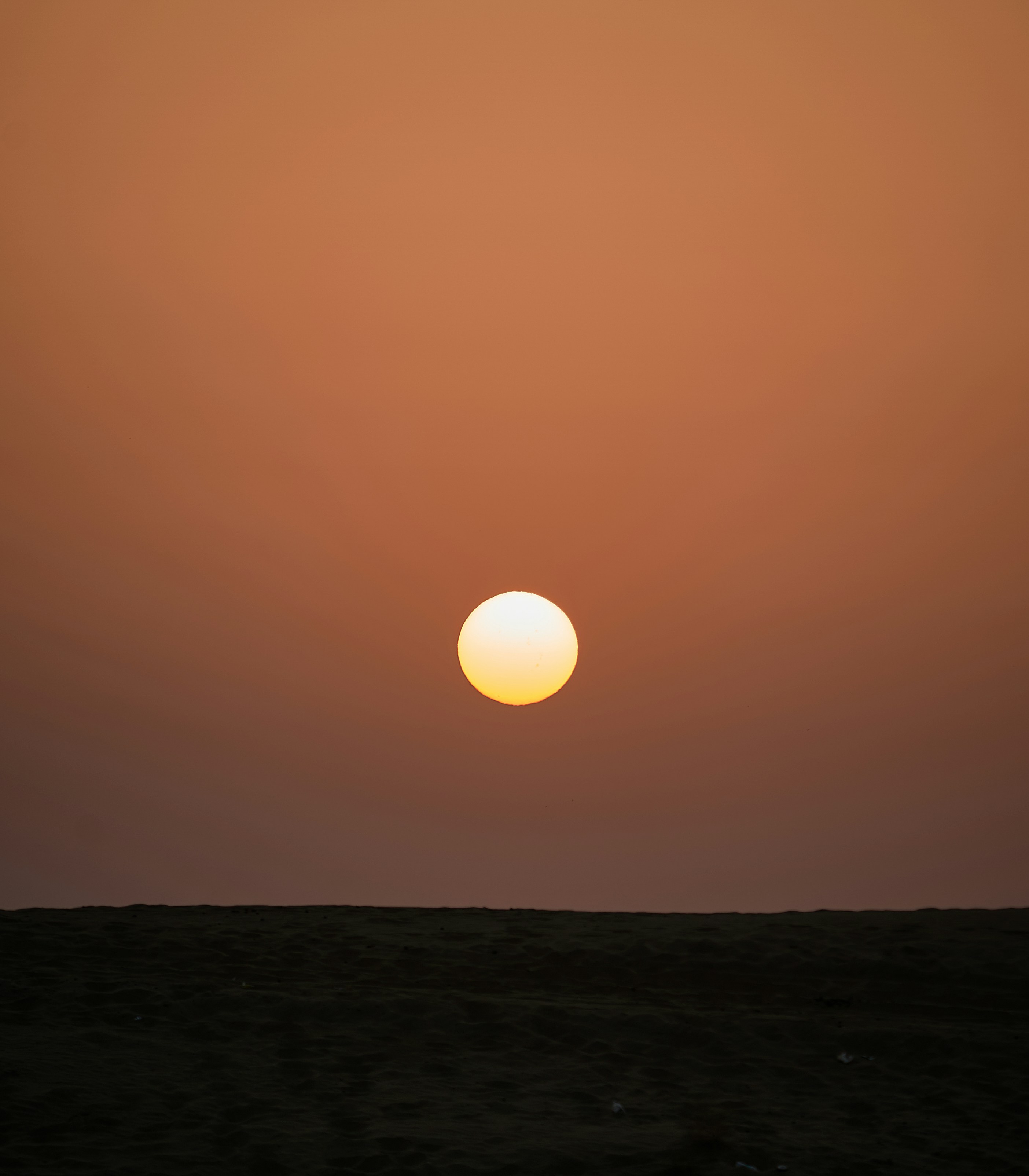 Photo by suicide_chewbacca