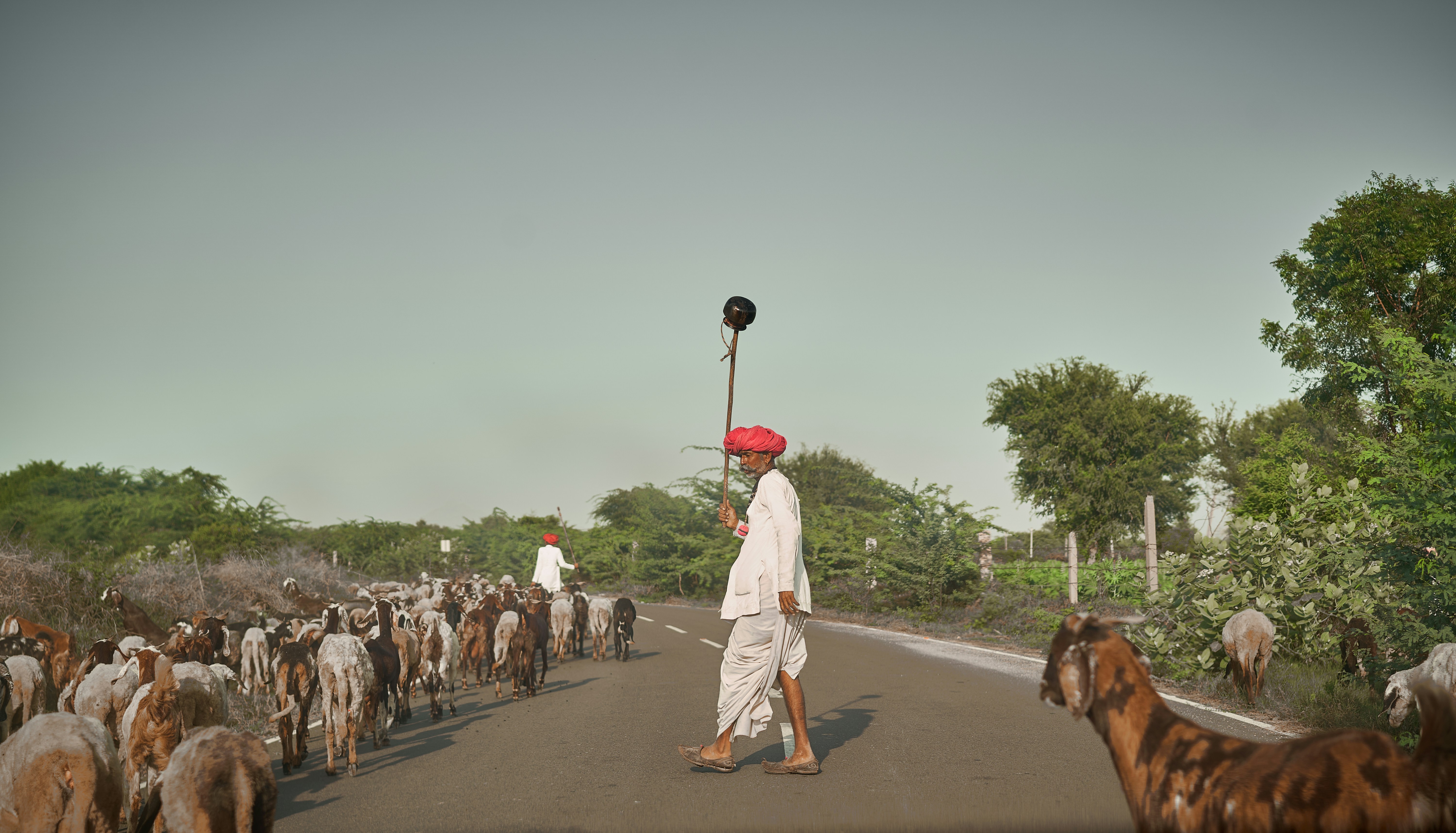 Photograph by Ashwini Chaudhary