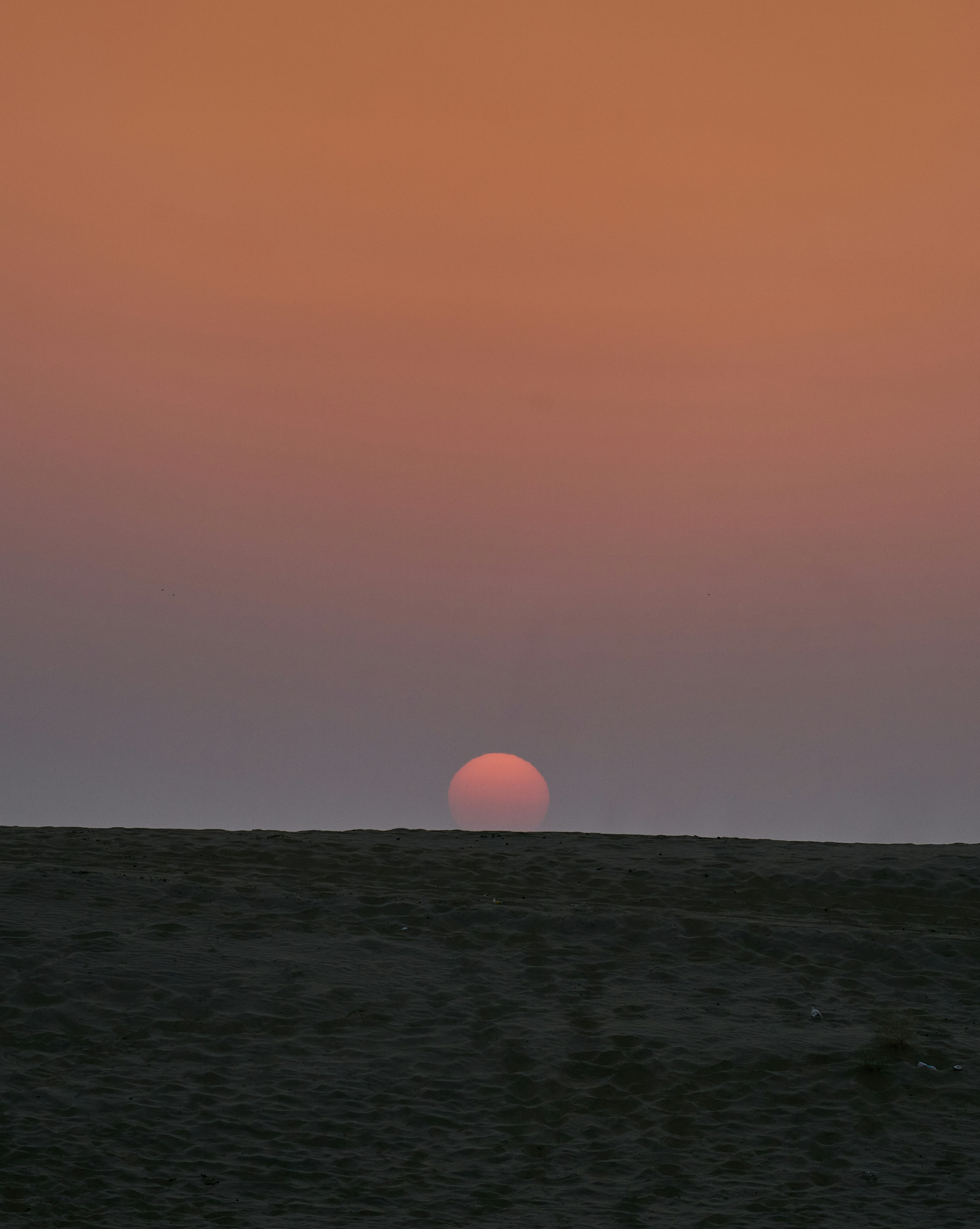 Photo by suicide_chewbacca