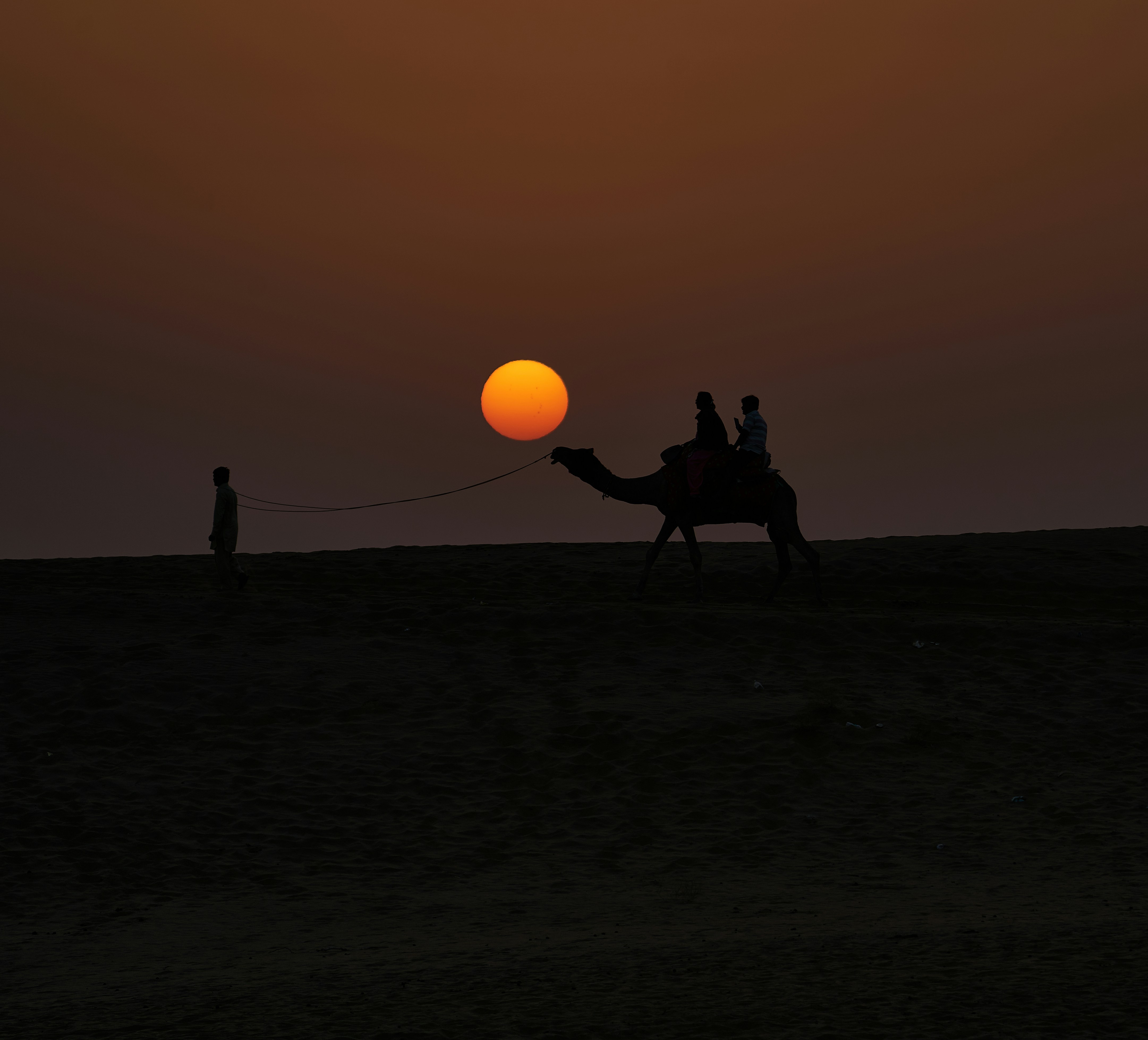 Sahara Desert sand dunes at sunset with camel caravan silhouettes