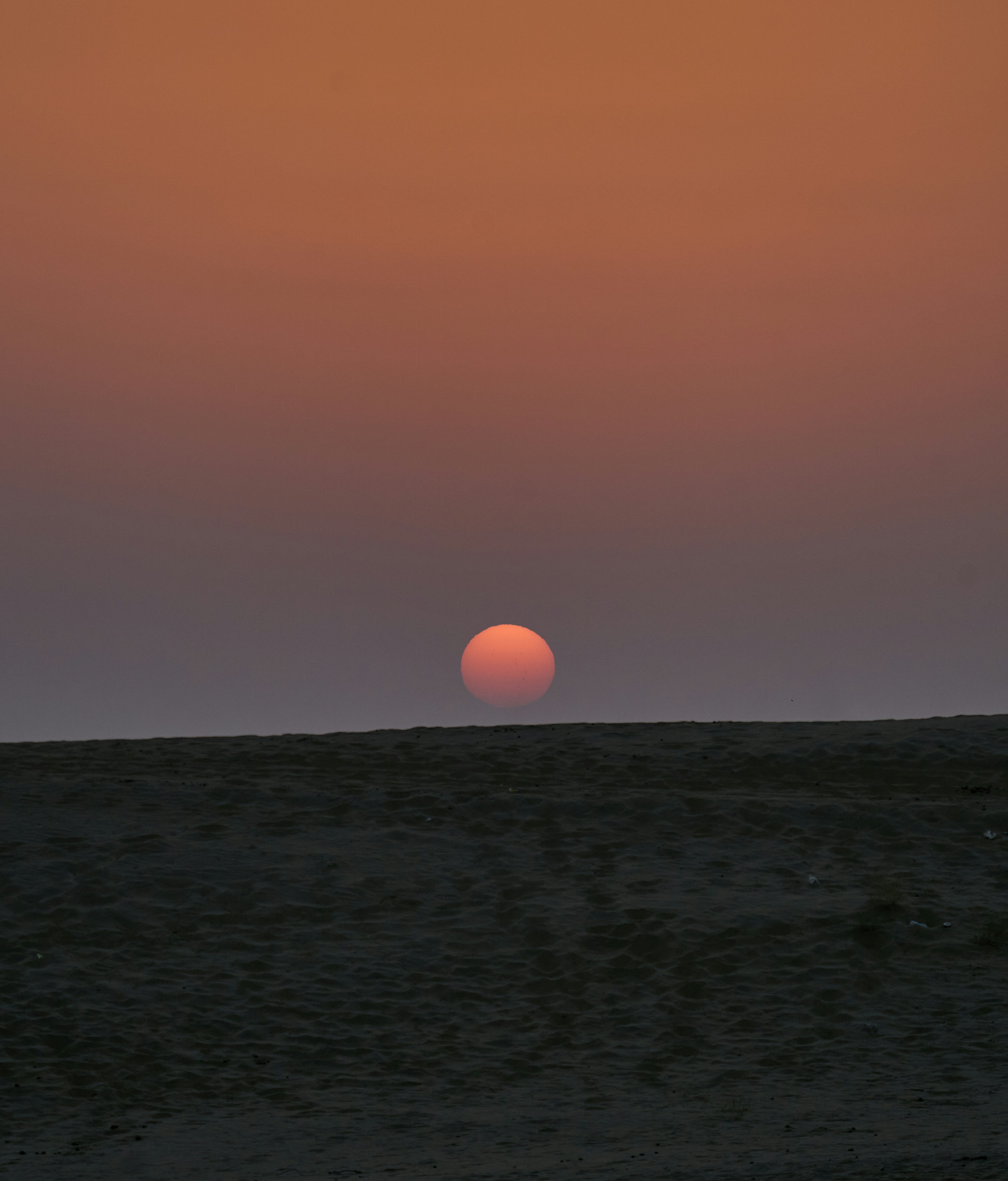 Photo by suicide_chewbacca