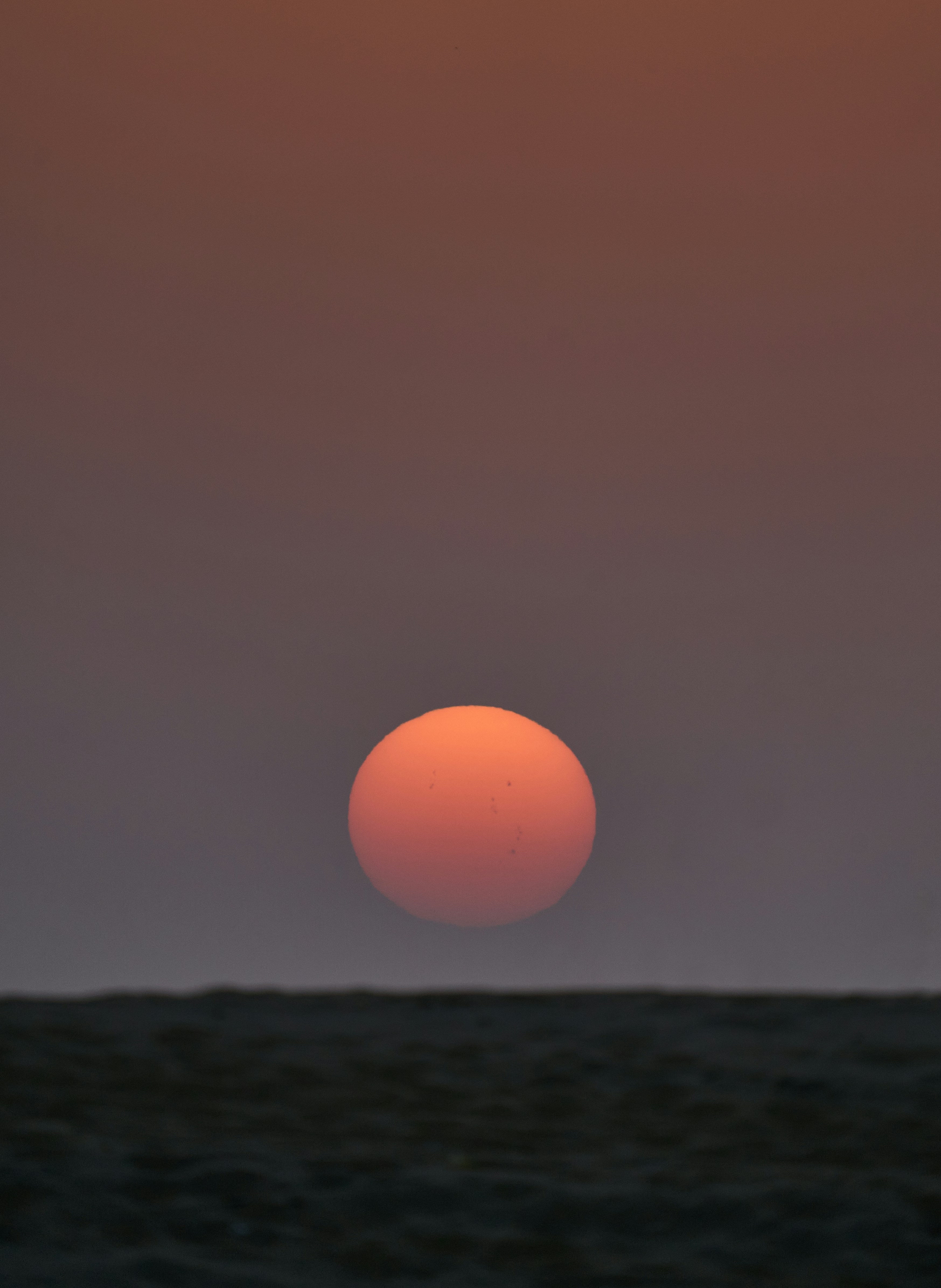 Photo by suicide_chewbacca