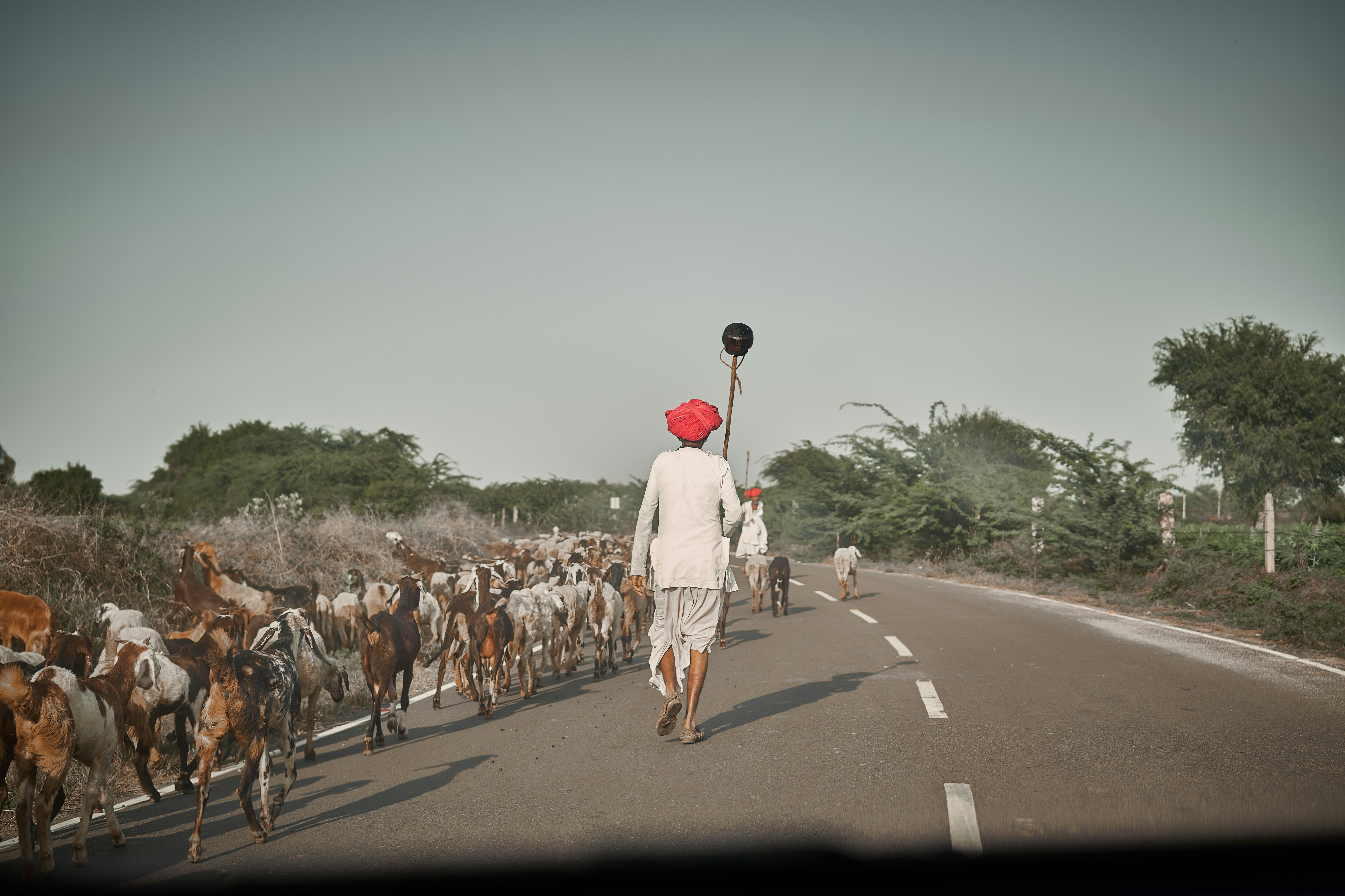 Photograph by Ashwini Chaudhary
