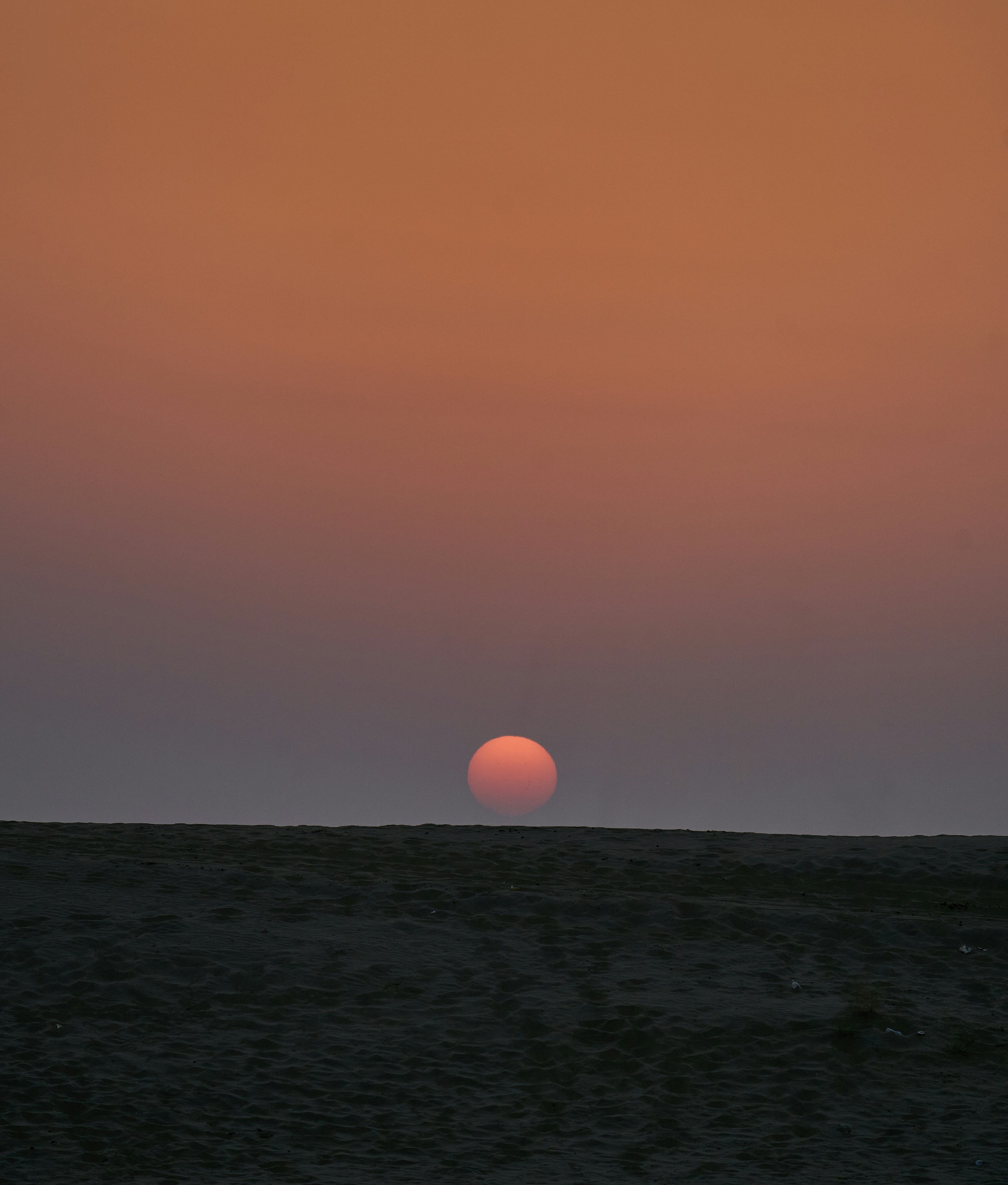 Photo by suicide_chewbacca