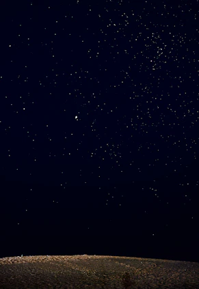 A person standing on a hill looking up at the stars