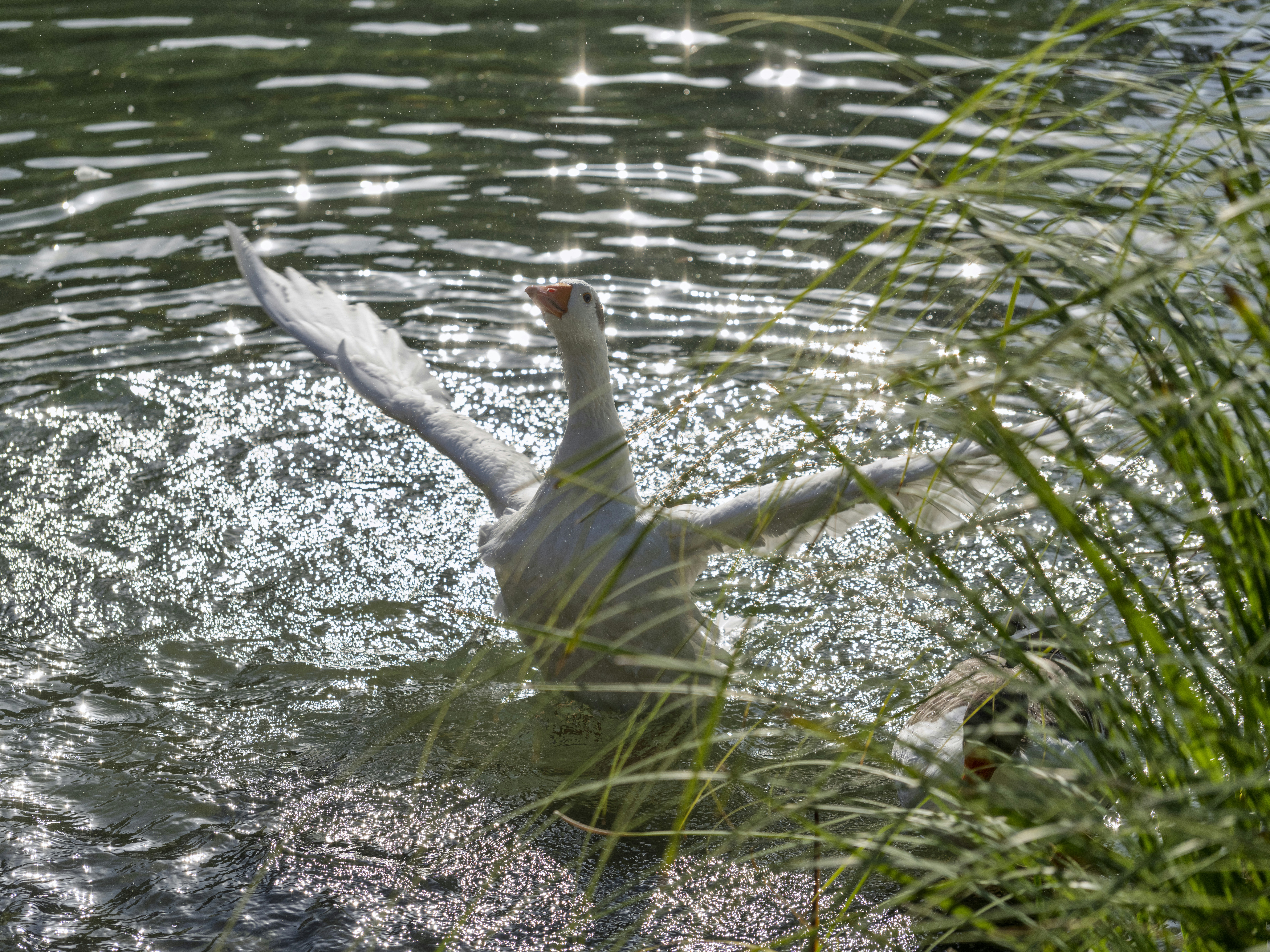 Photo by enginakyurt