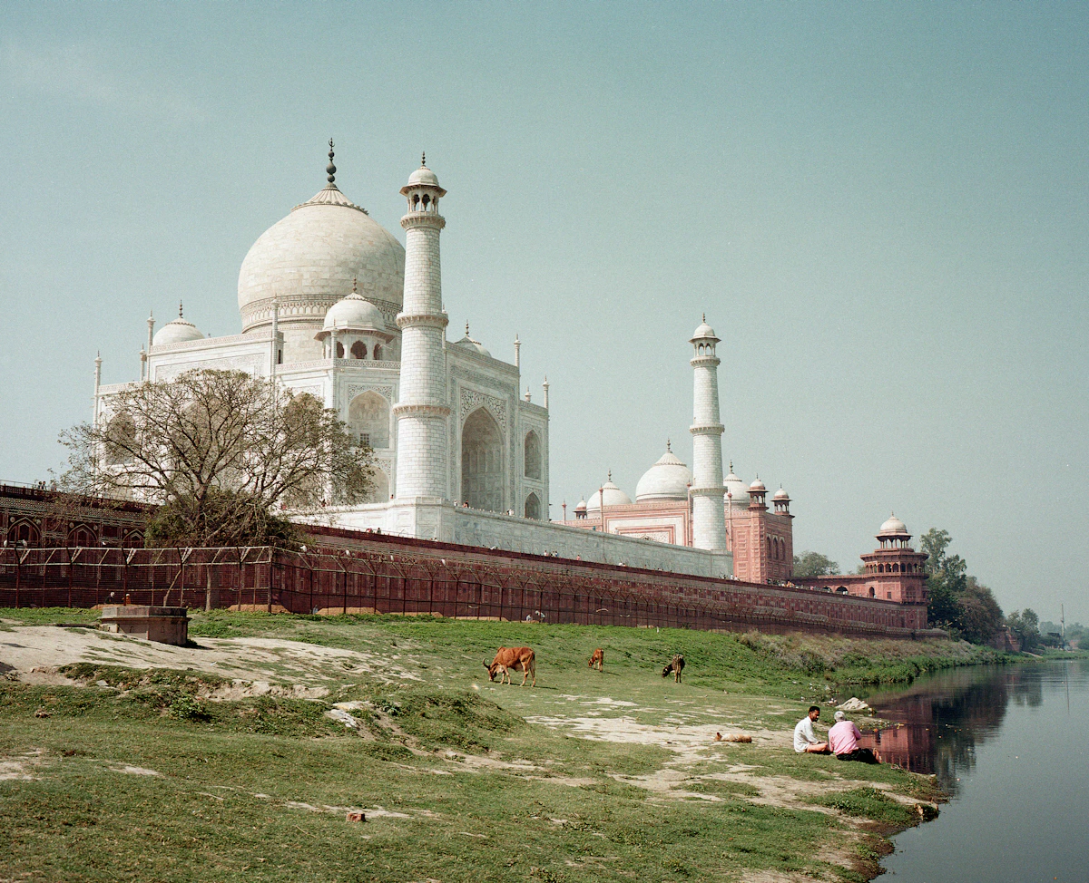 India tiger safari