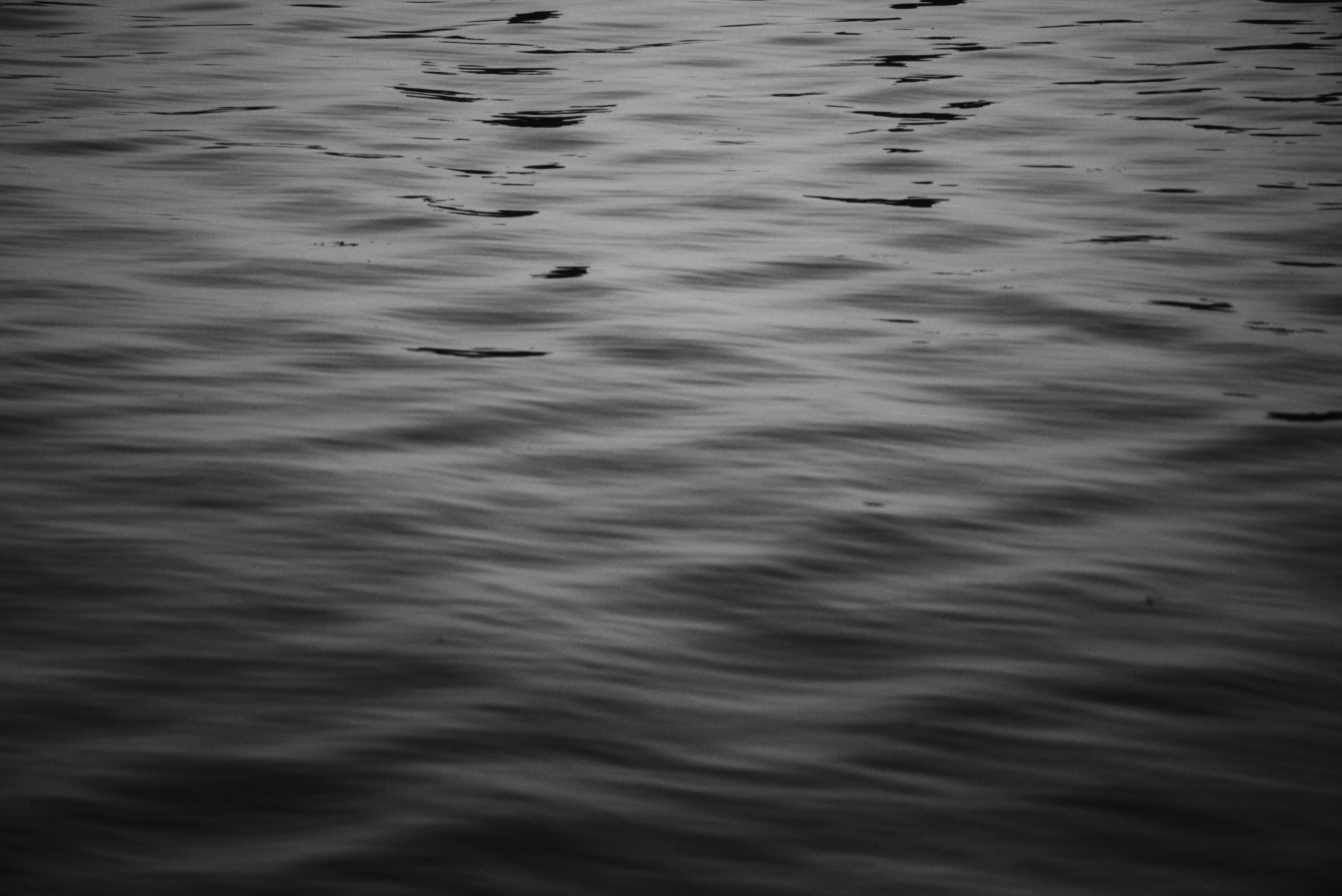 Photo by cherstve_pechivo