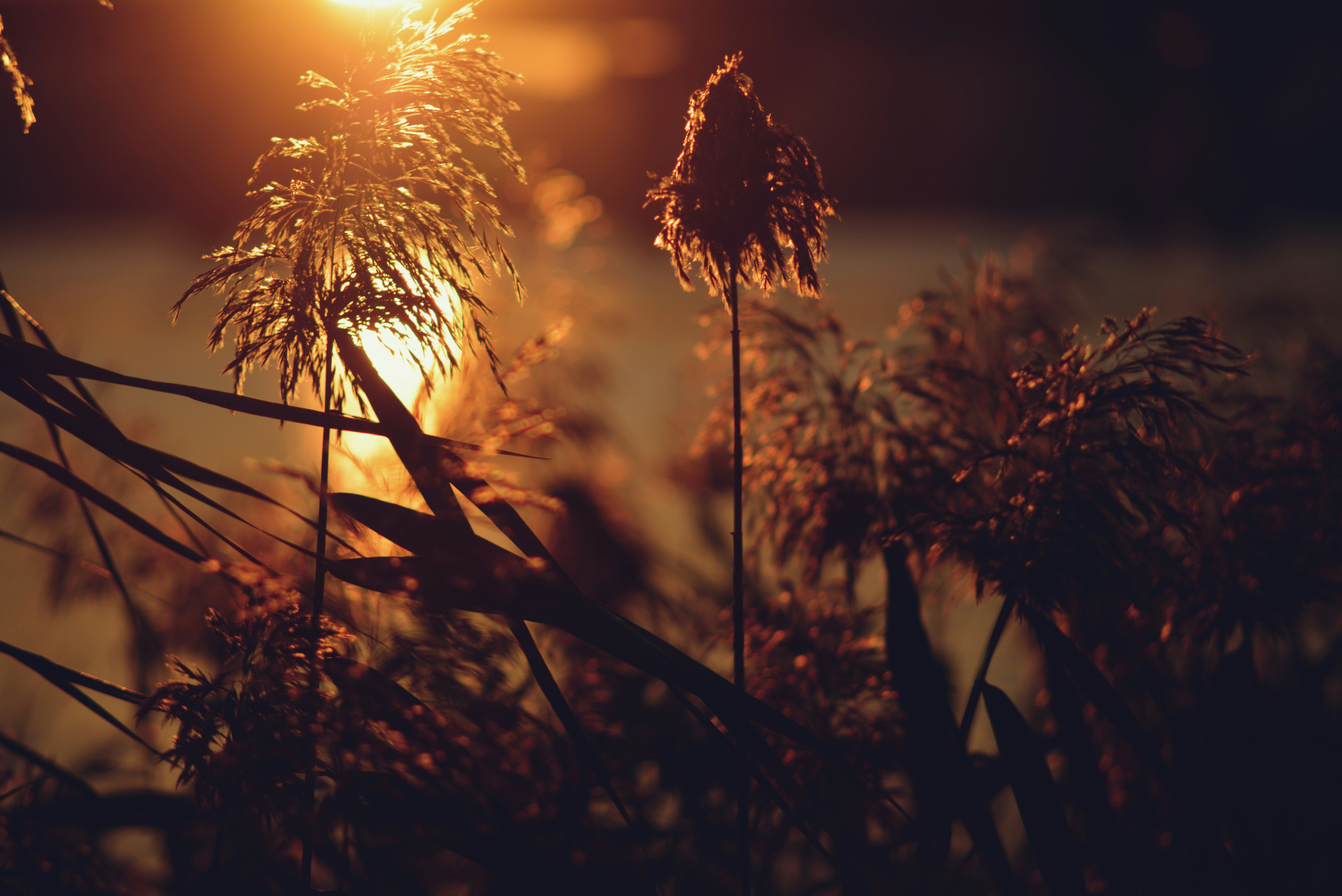 Photo by cherstve_pechivo