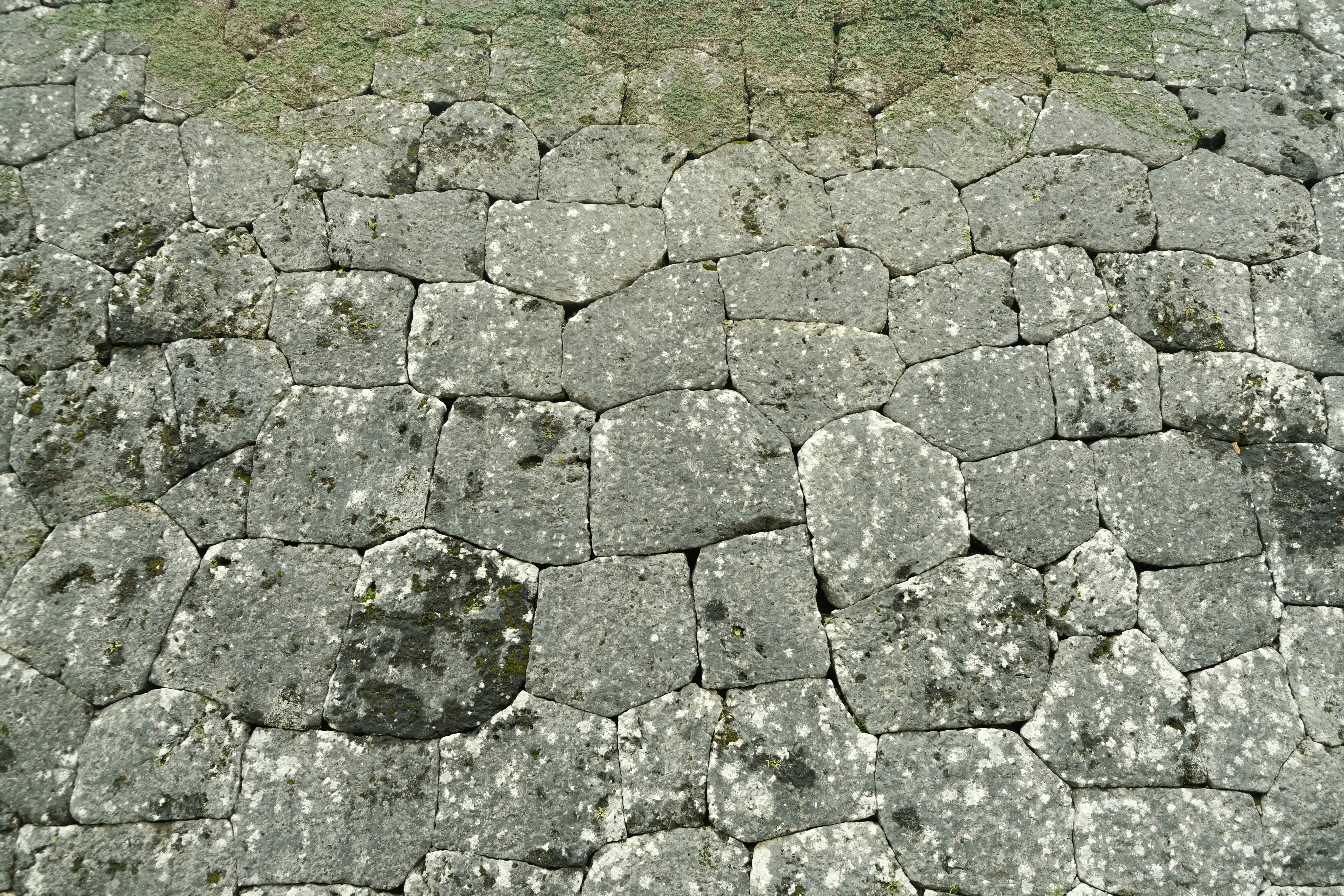 The Troll Toll Bridge