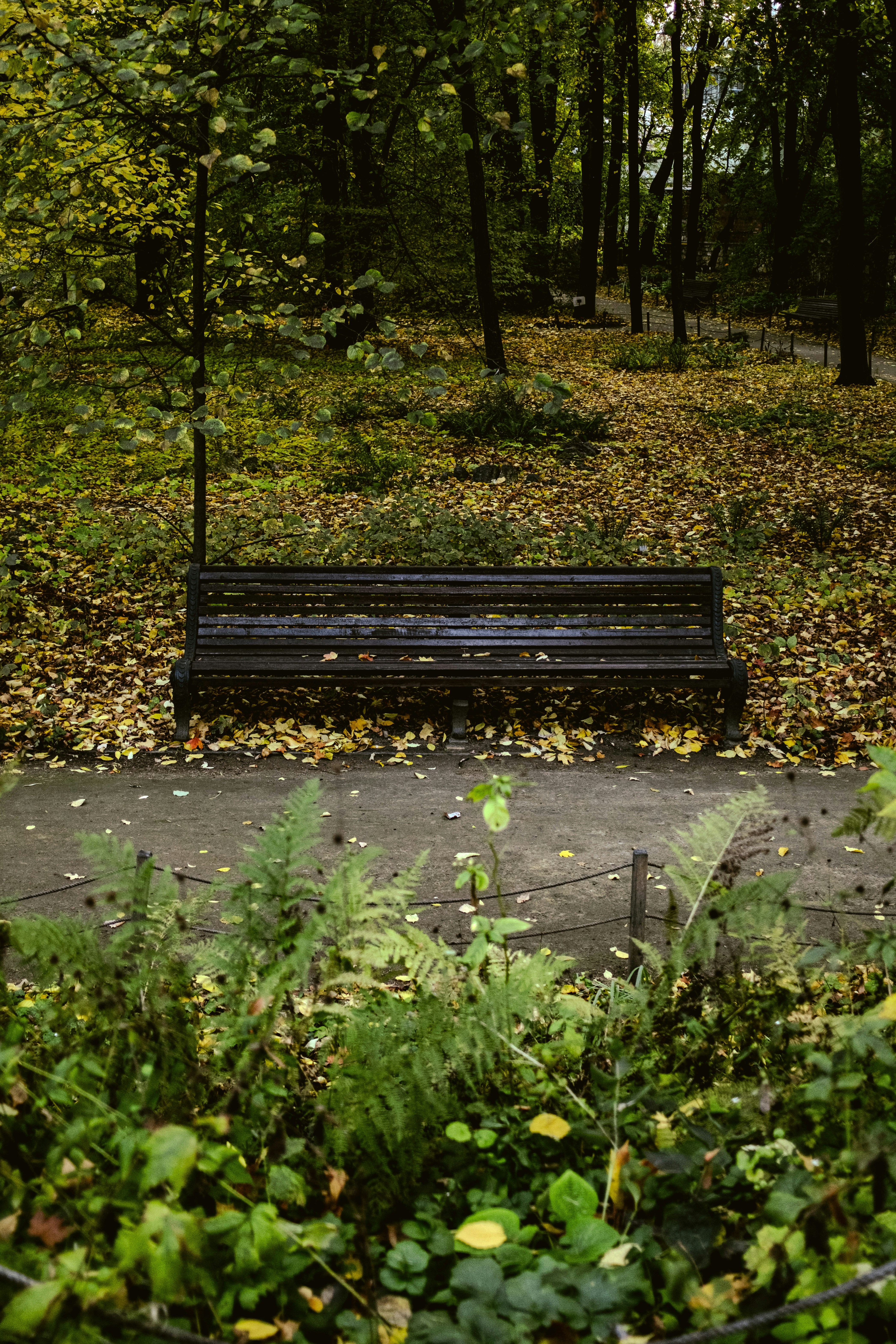 Photo by stef_enheart