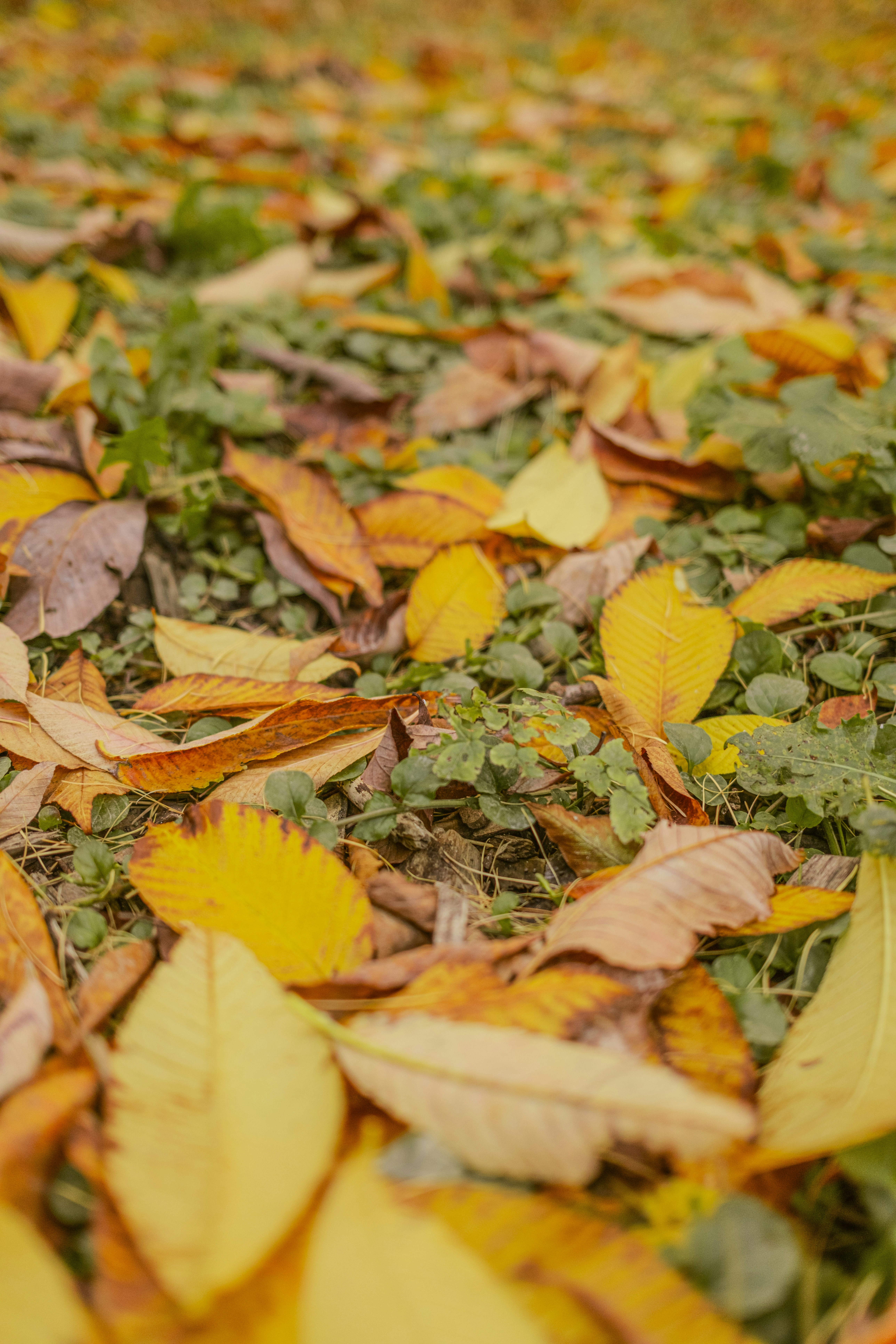 Photo by stef_enheart