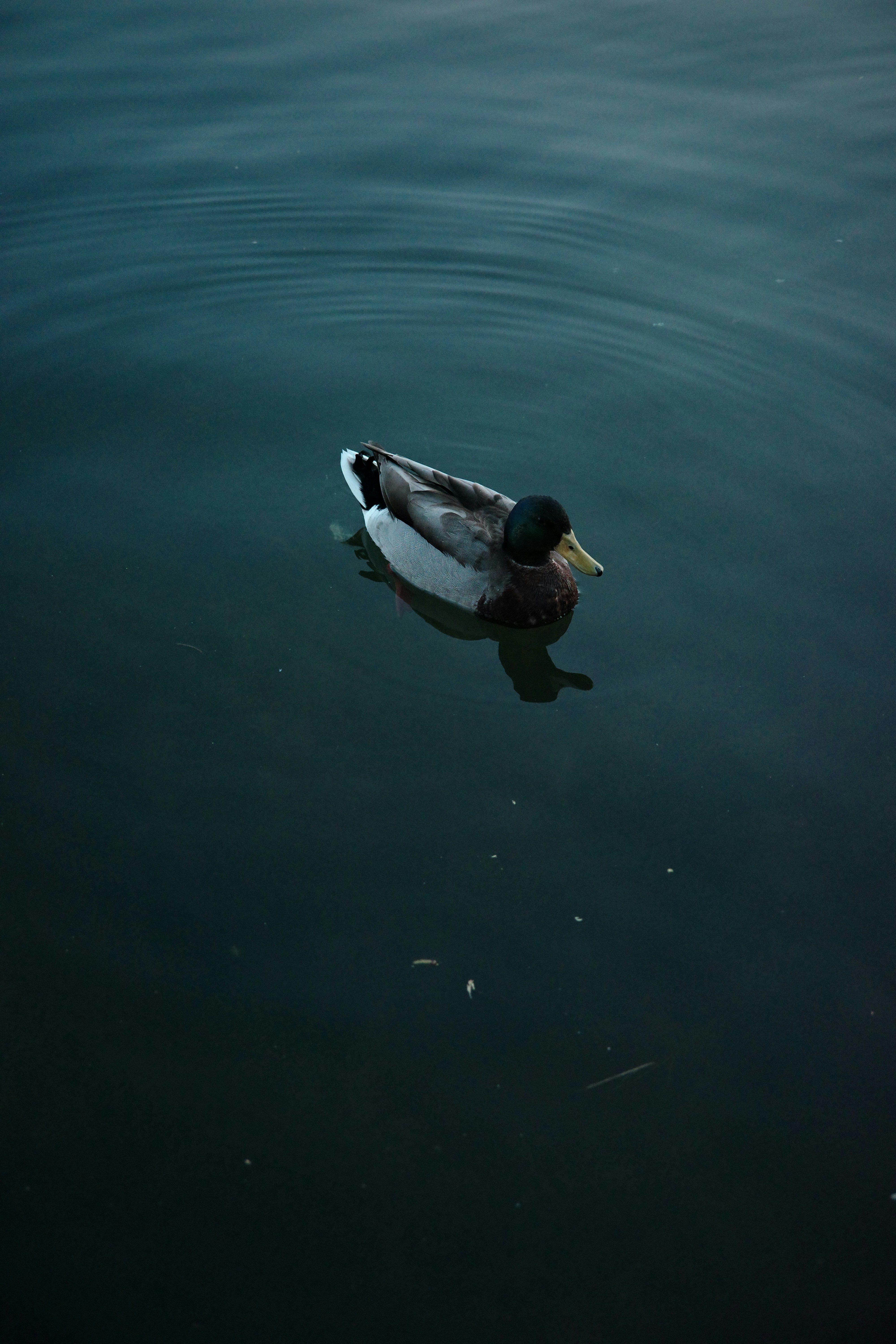 Photo by dynamicwang