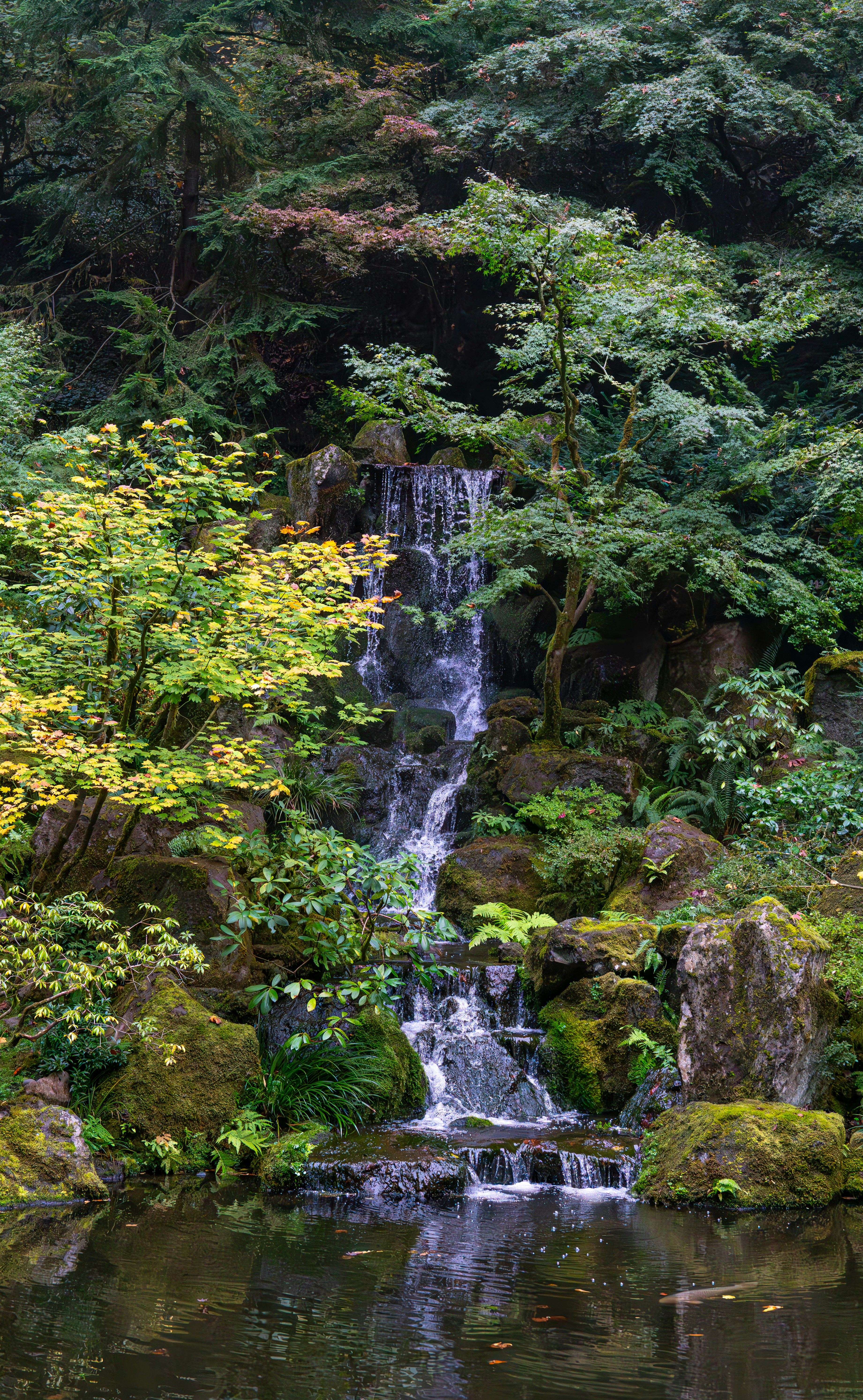 Photo by fortuitousfoto