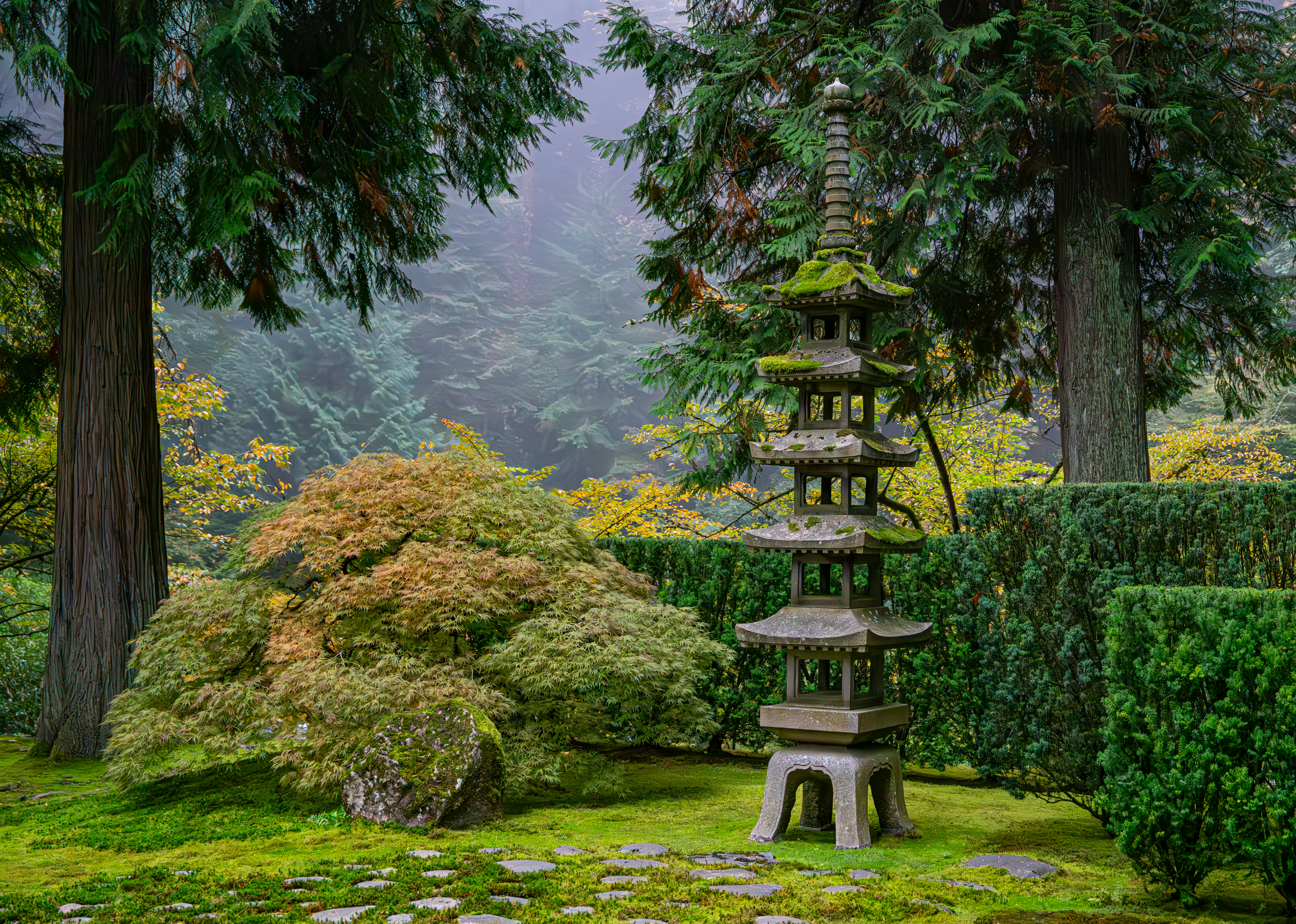 How and where do I pay fines and fees?