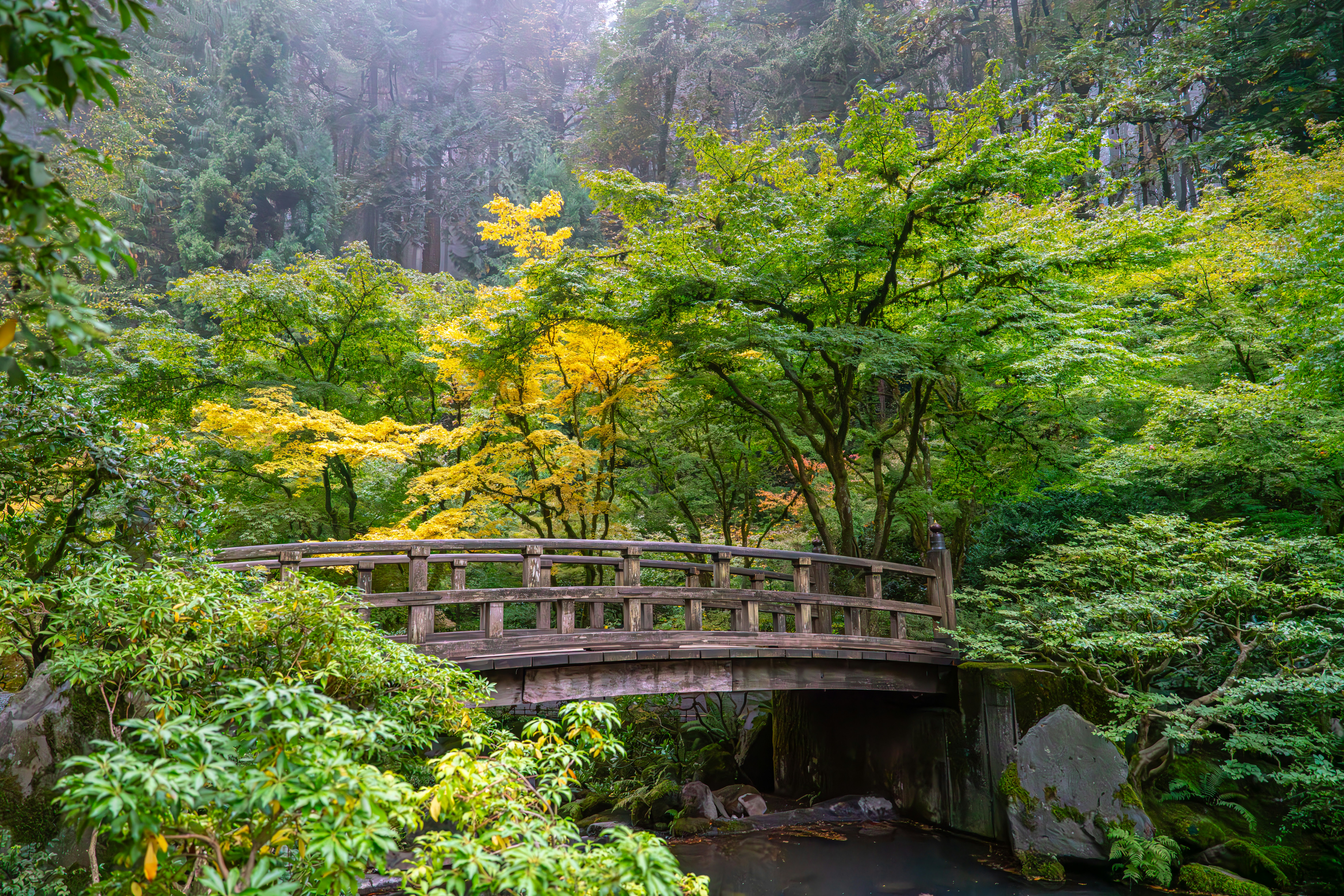 Photo by fortuitousfoto