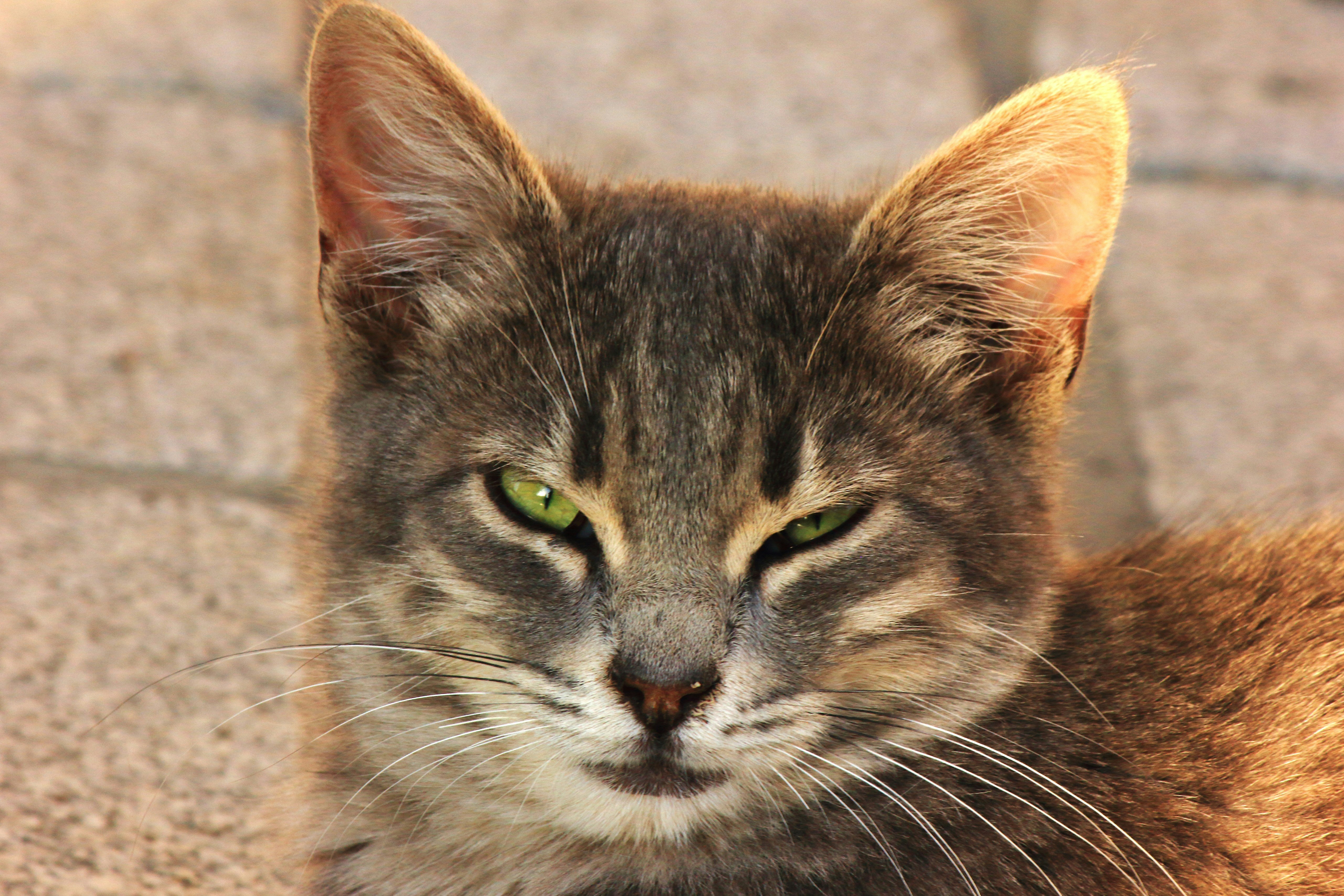 Photo by cengizozarpat