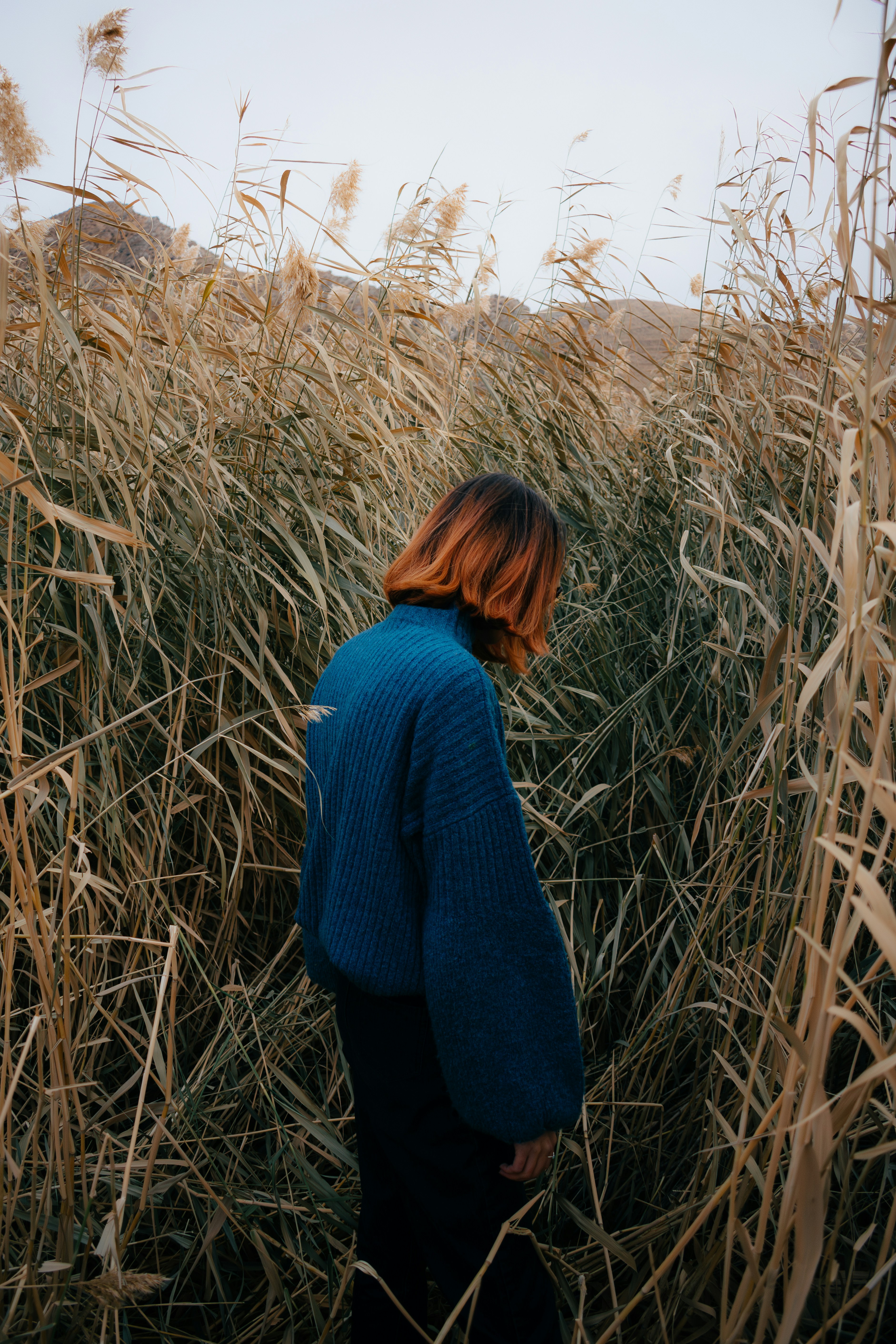 A person standing in a field of tall grass