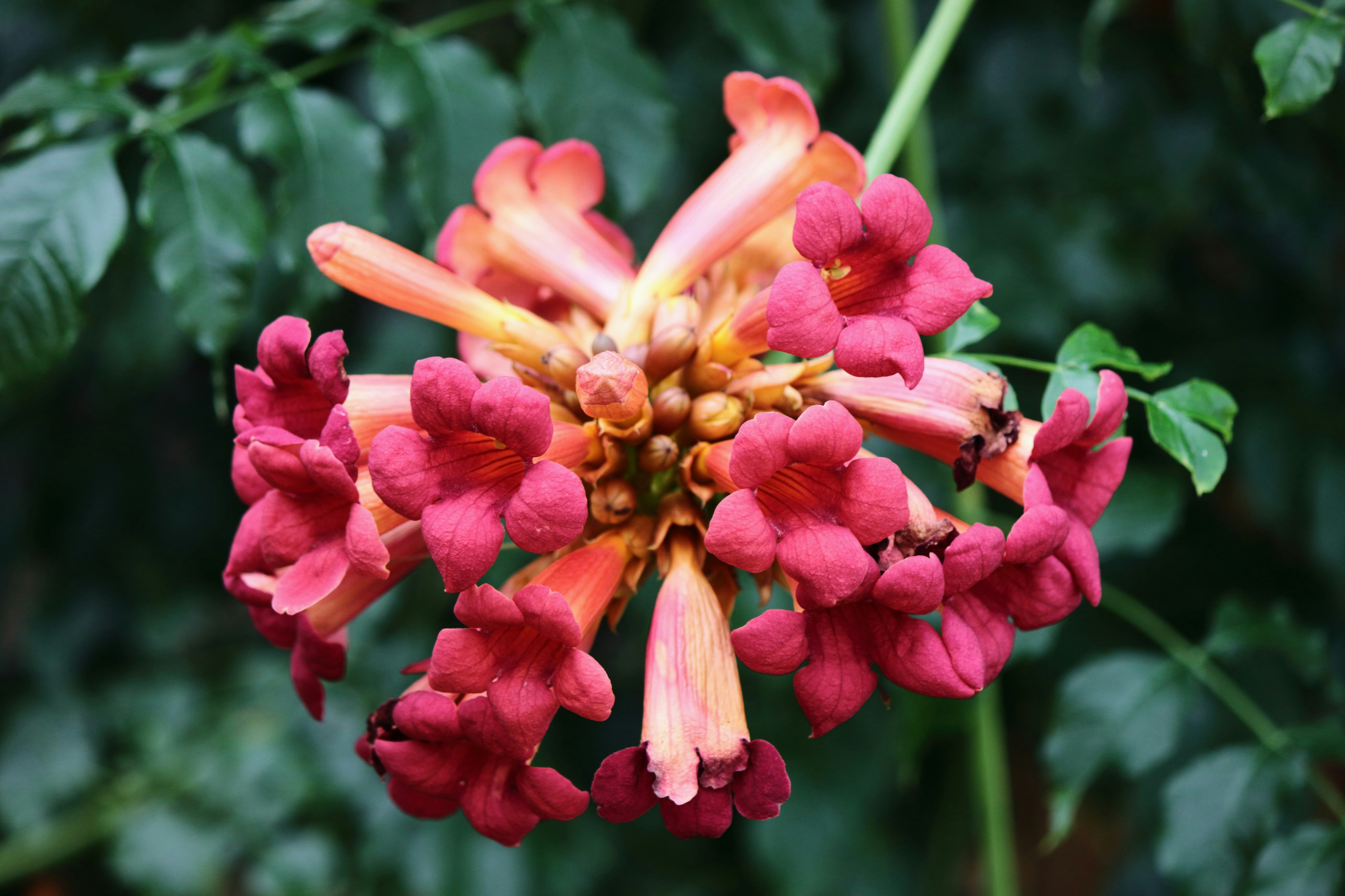 Photo by cengizozarpat