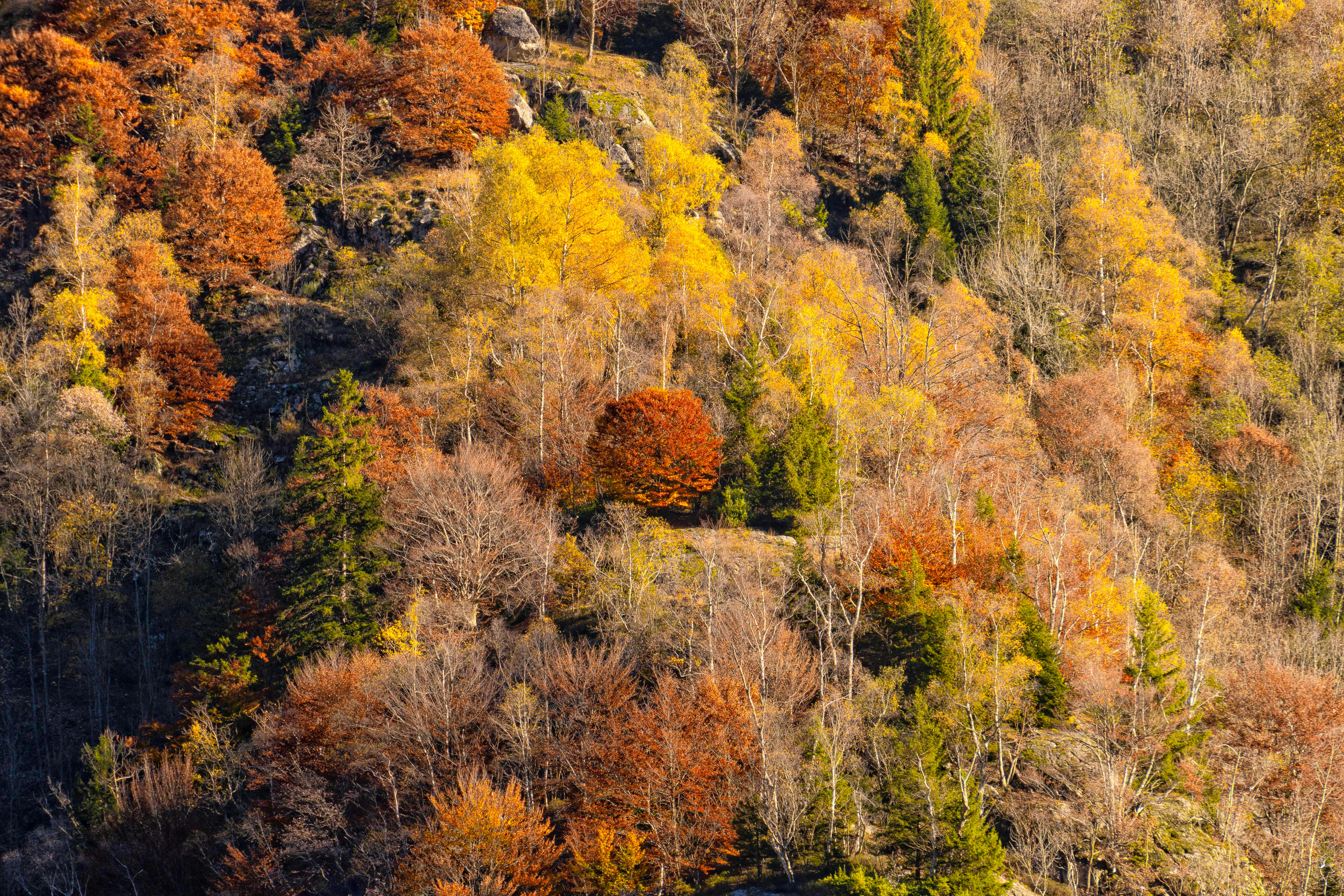 Photo by matteo_skyrider