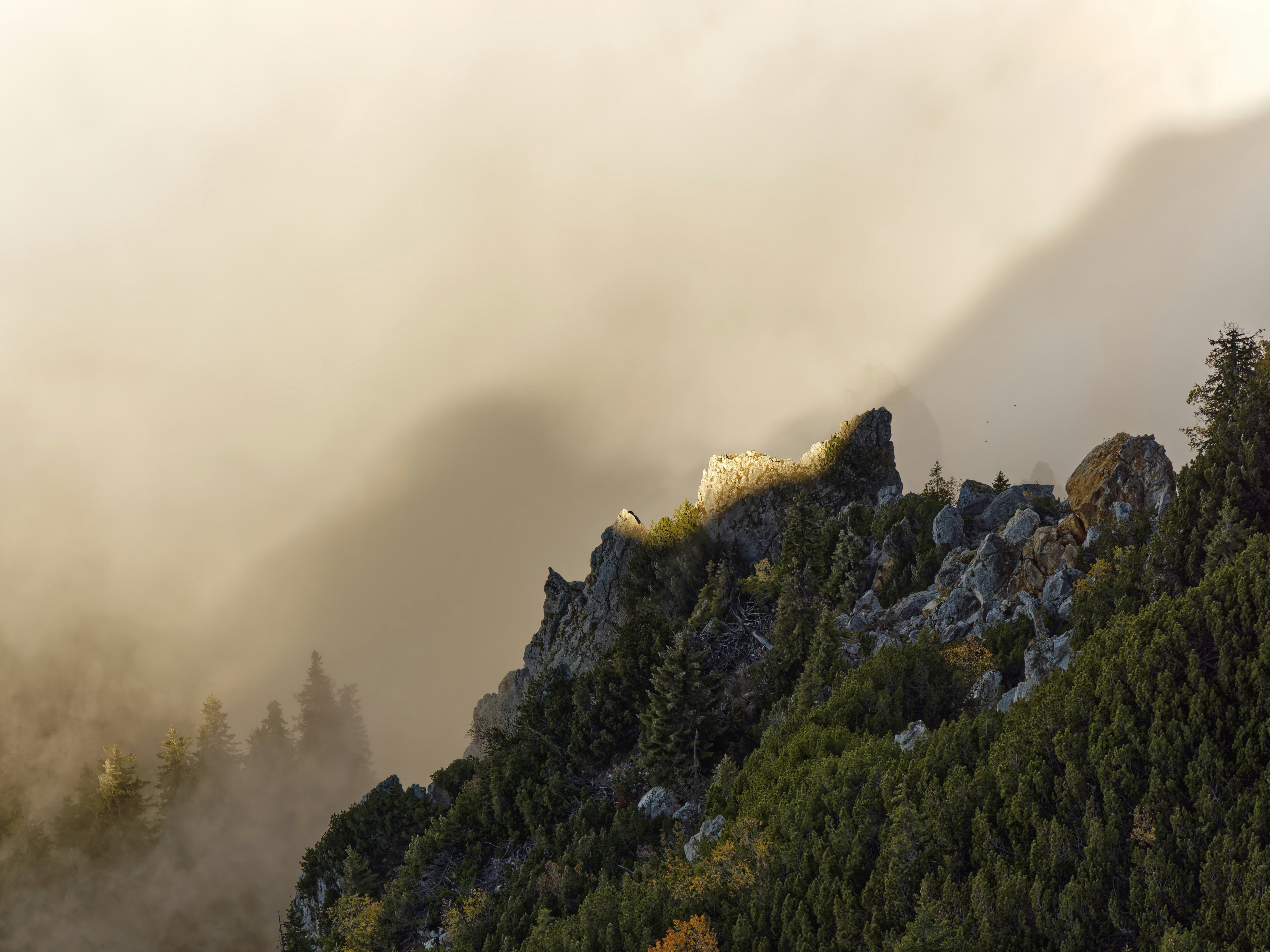 Photo by illes_cristi