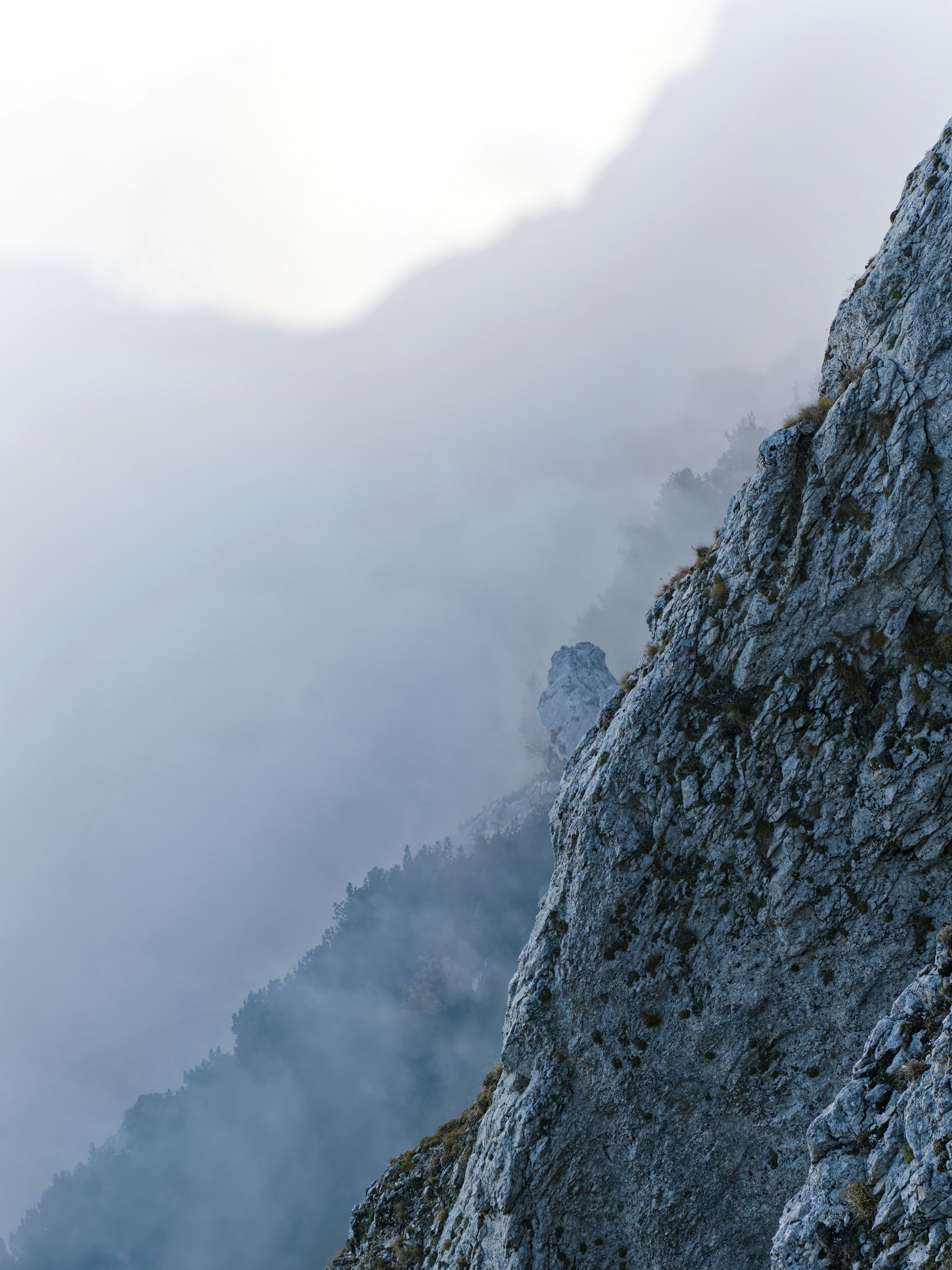 Photo by illes_cristi