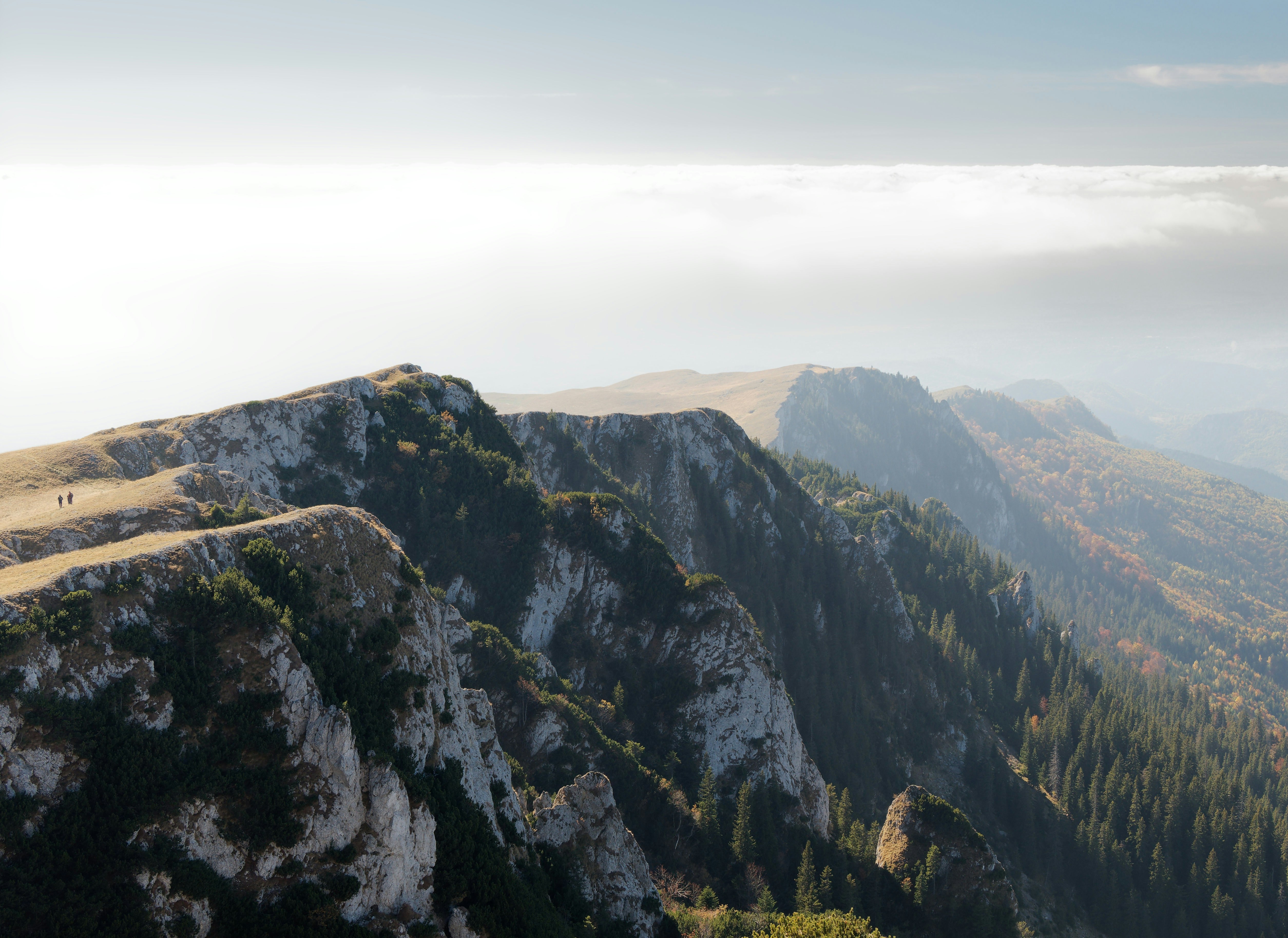 Photo by illes_cristi