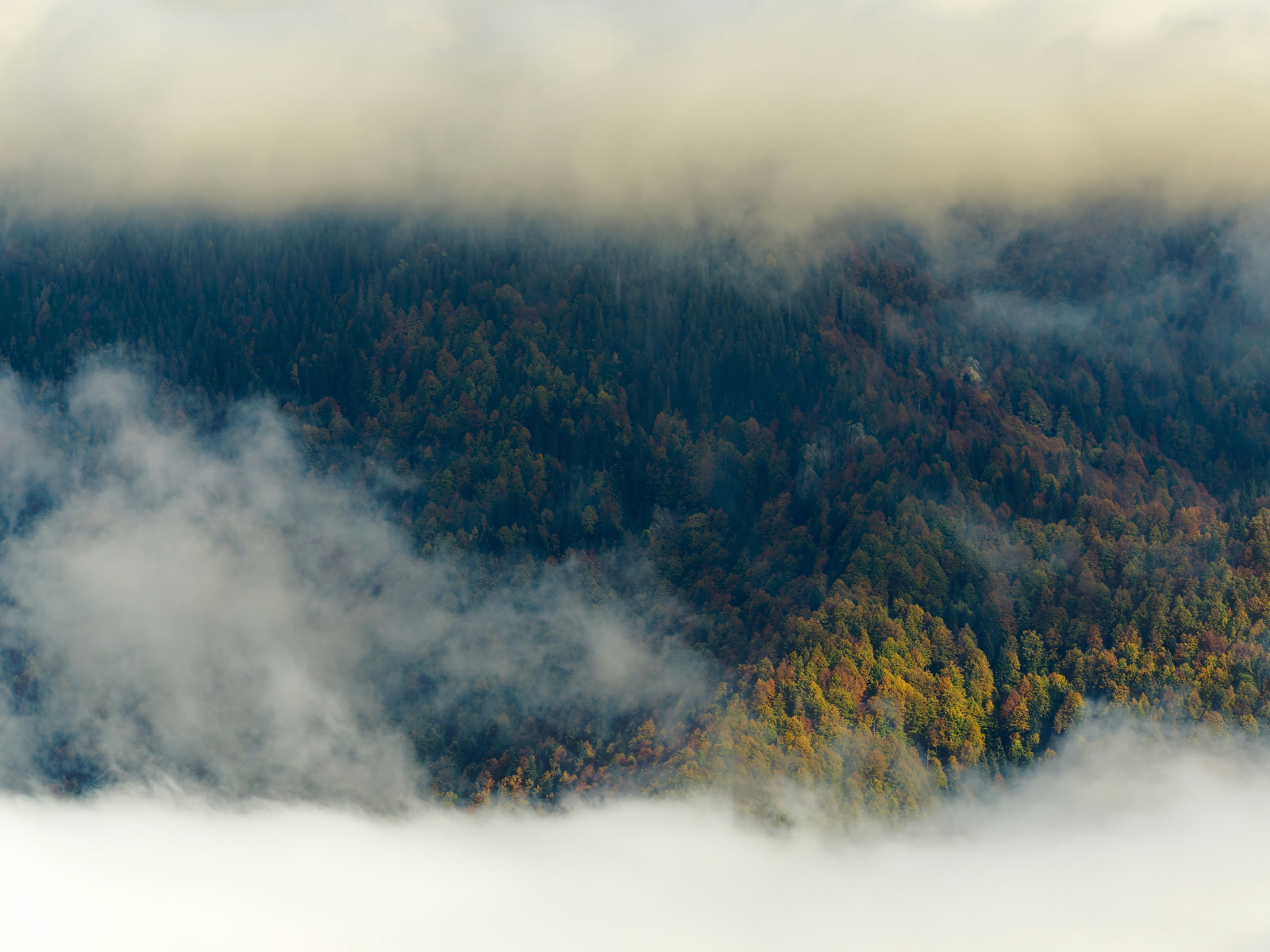 Photo by illes_cristi