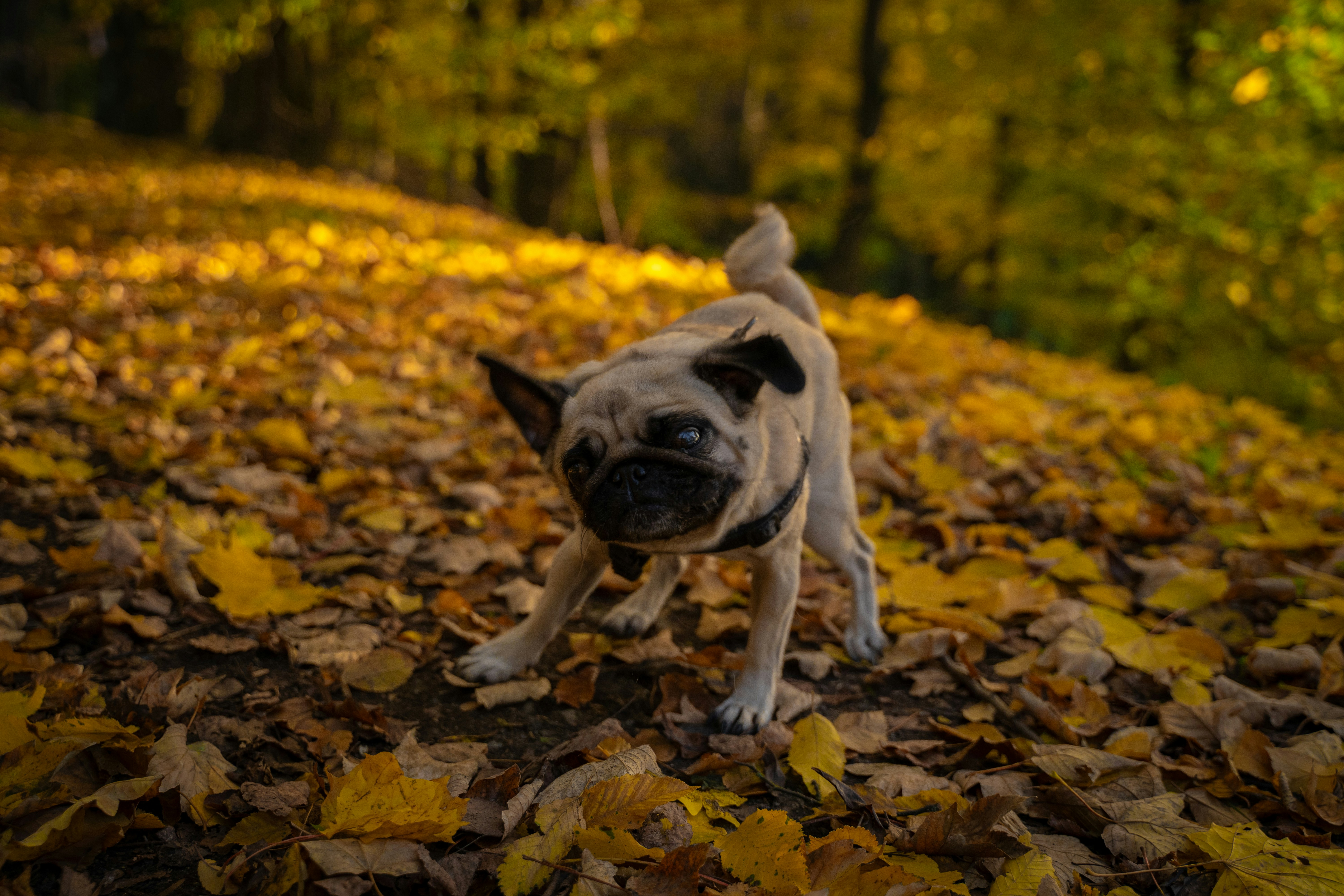 Photo by jakubklucky