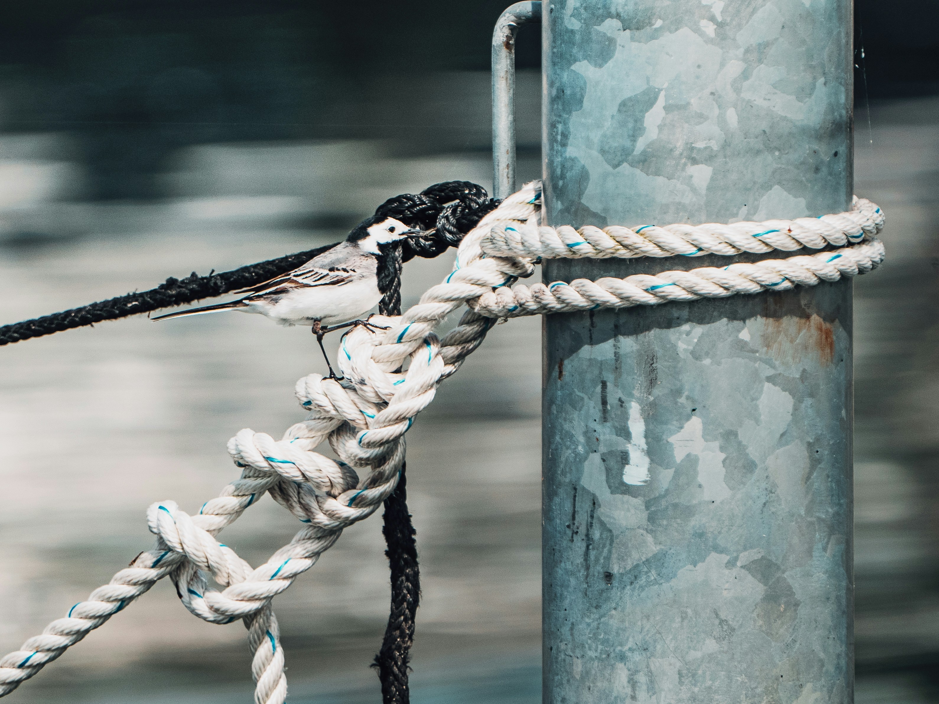 Photo by patrick_von_der_wehd