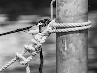 Anxiety and overwhelm