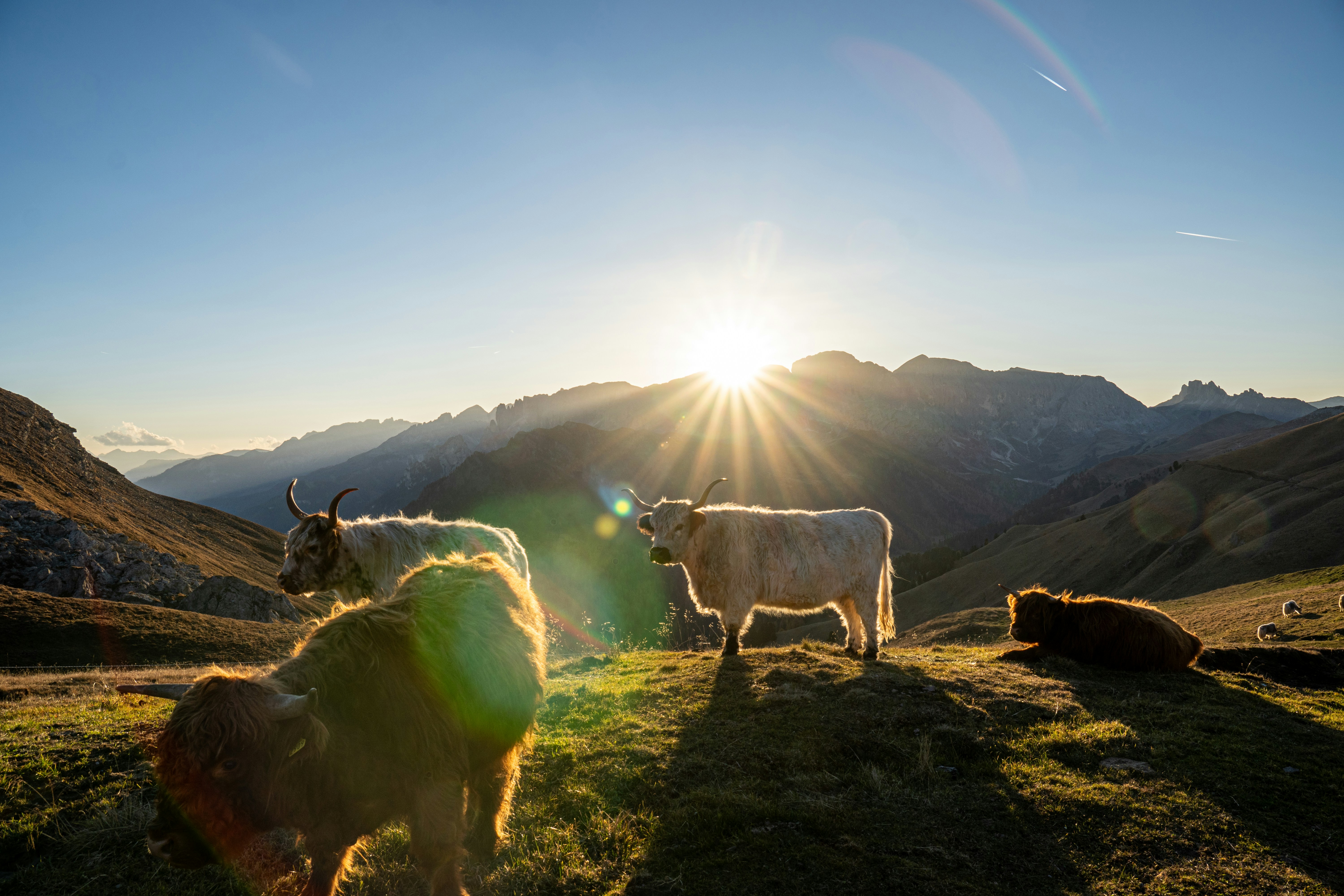 Photo by lucacaronti