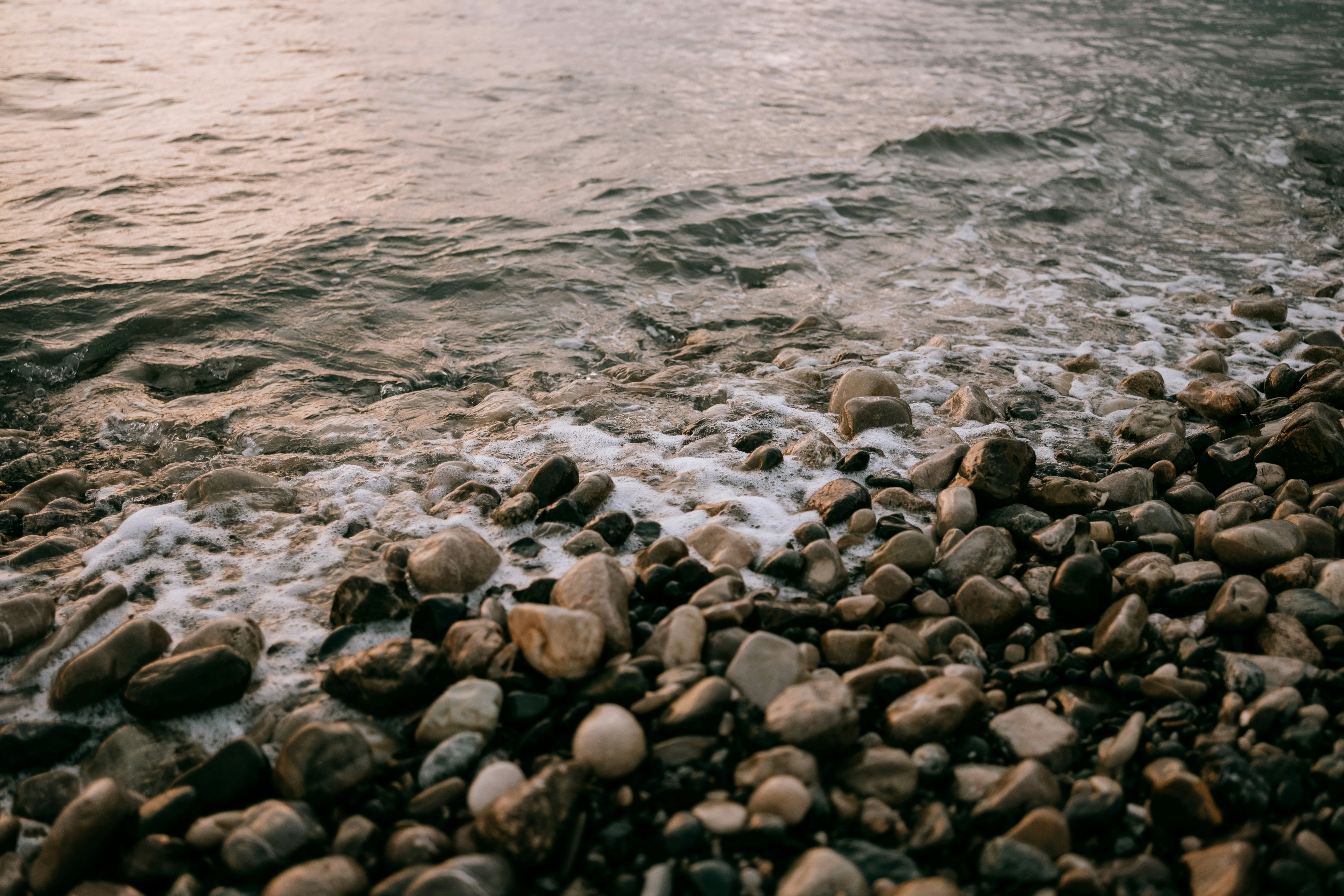 Photo by carloshorton